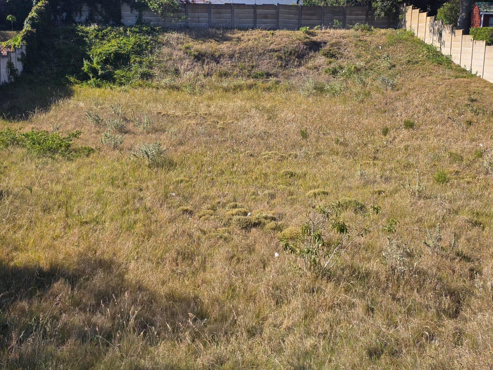 Image 2 of 6