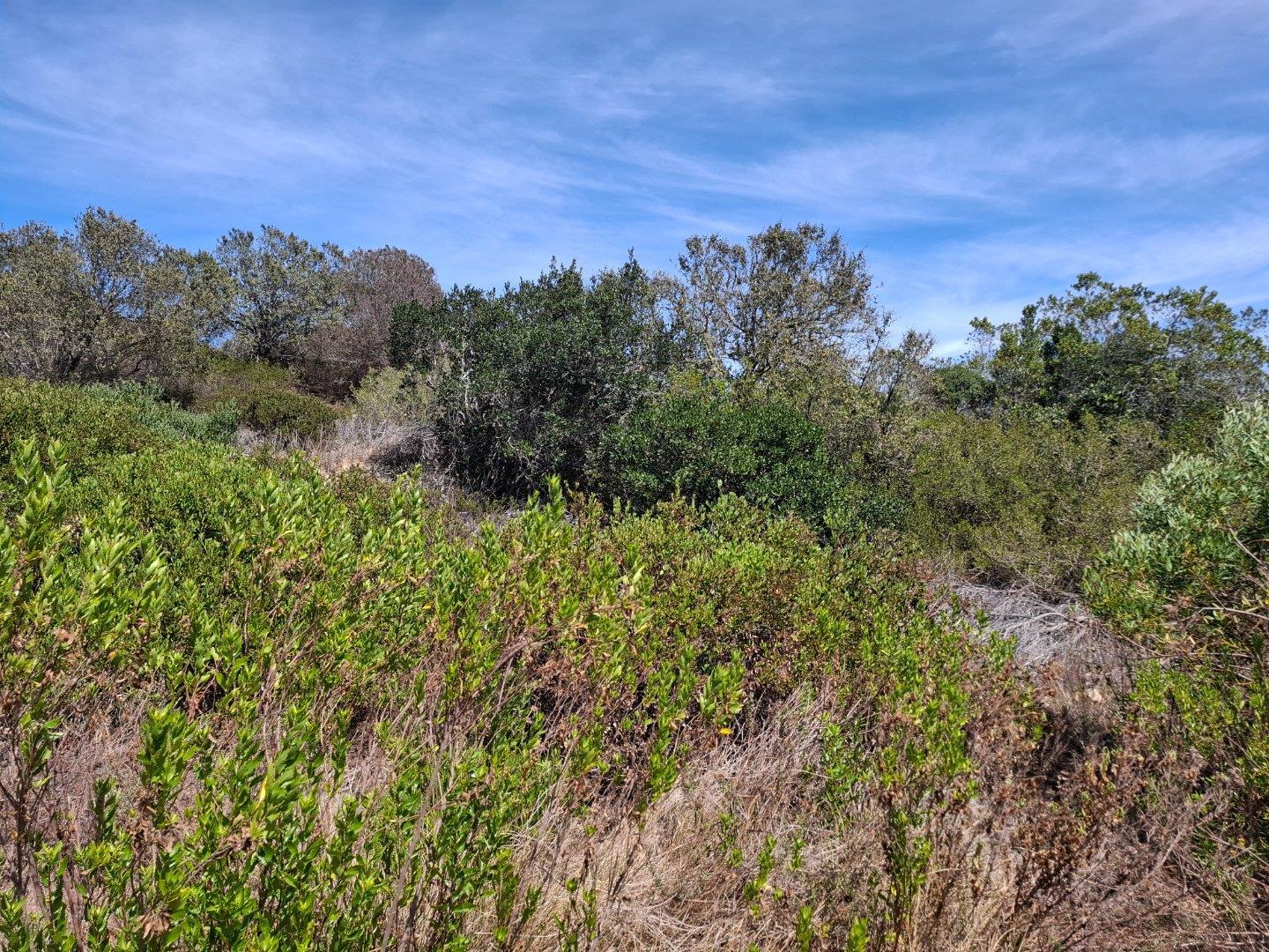 Image 61