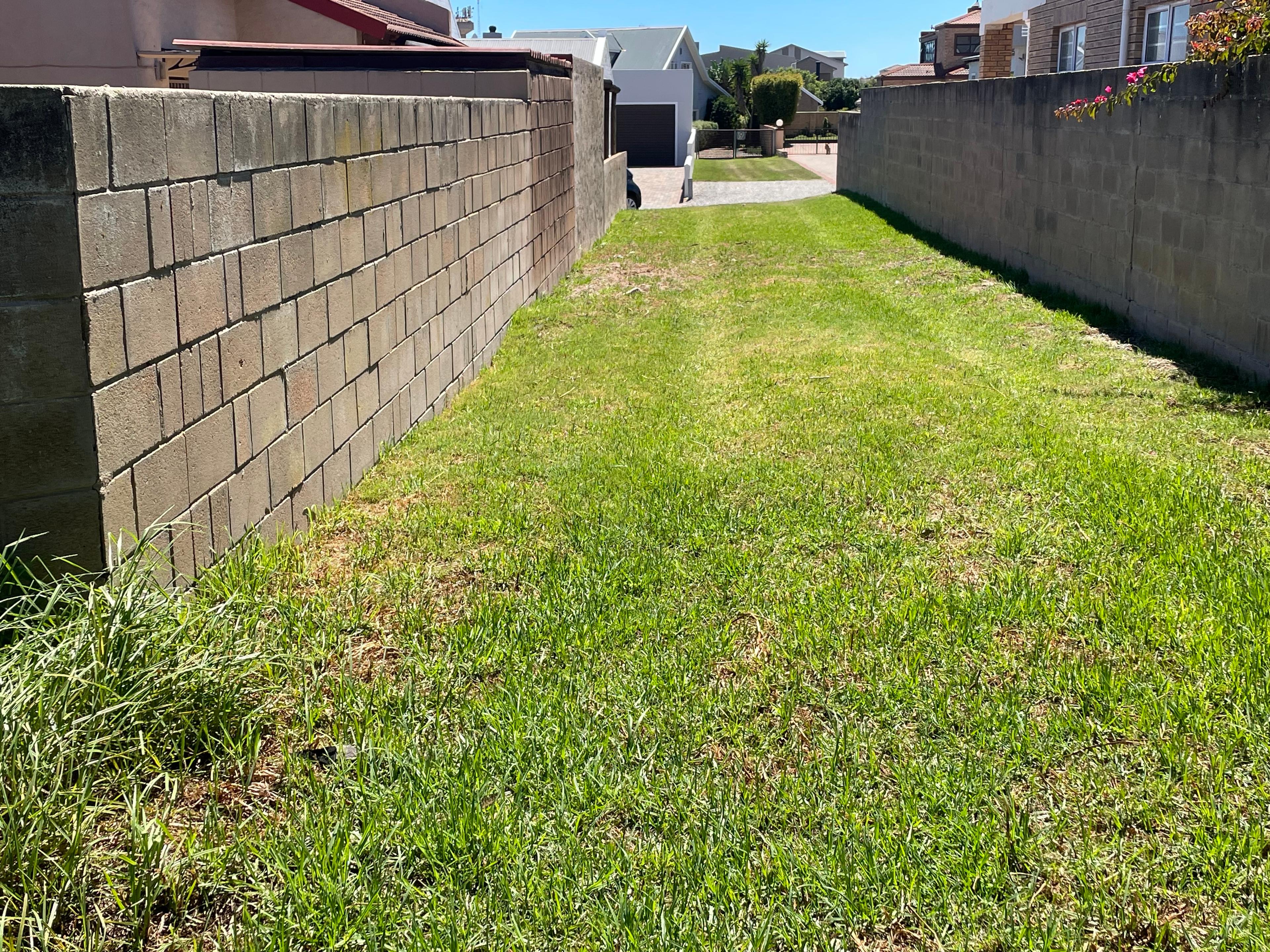 Image 2 of 6