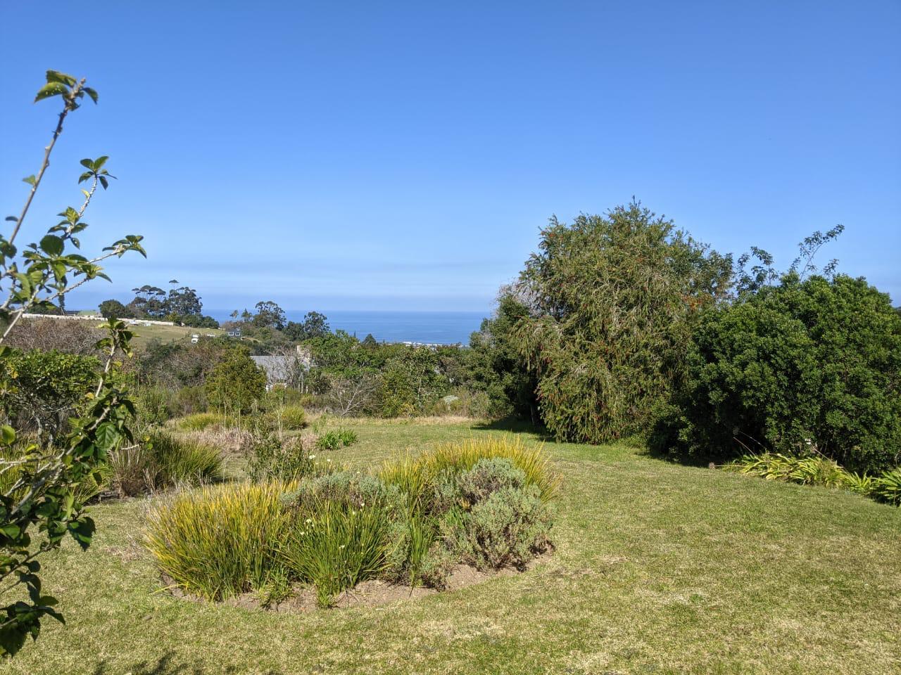 Image 34