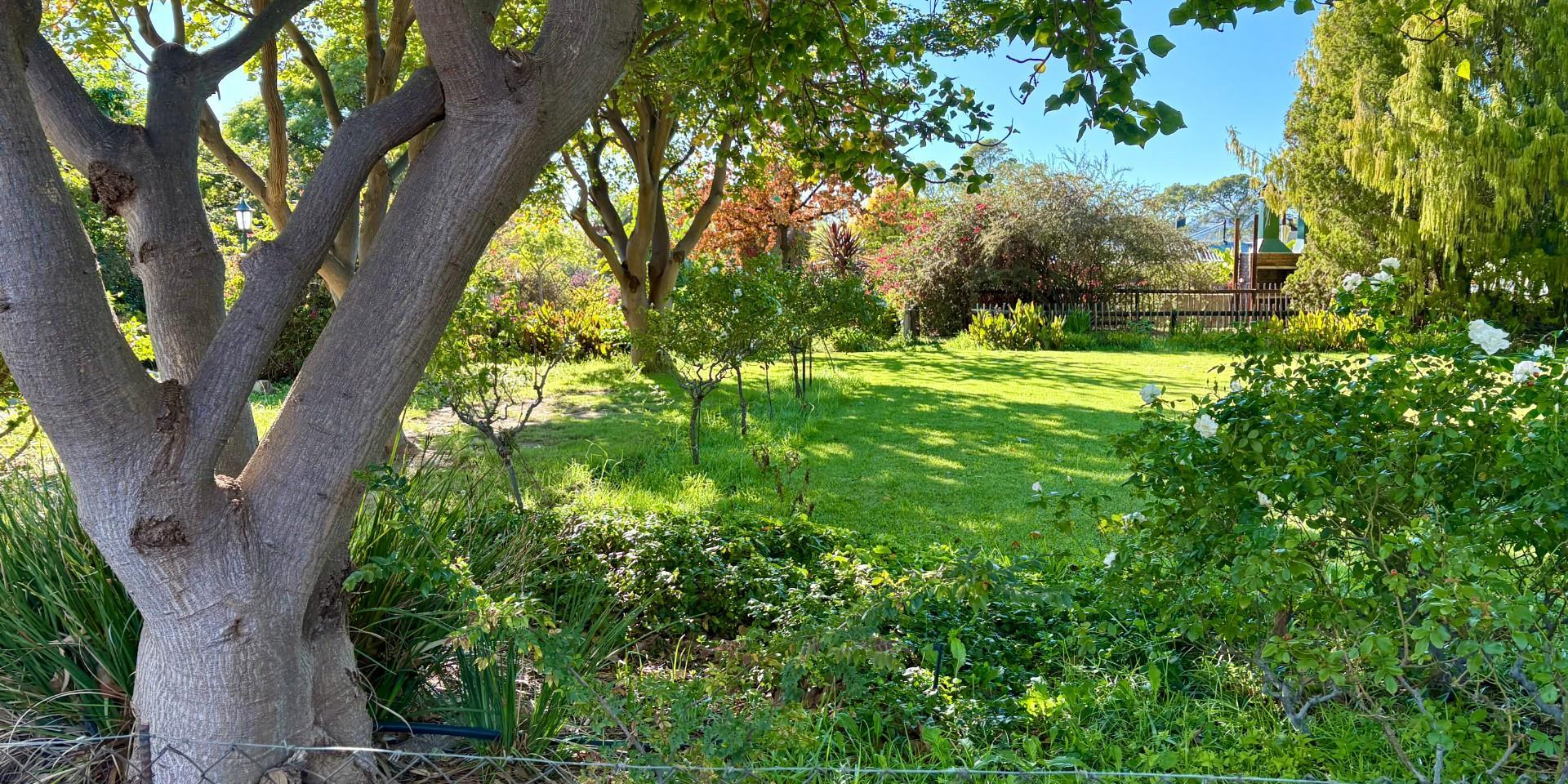 Image 4 of 6