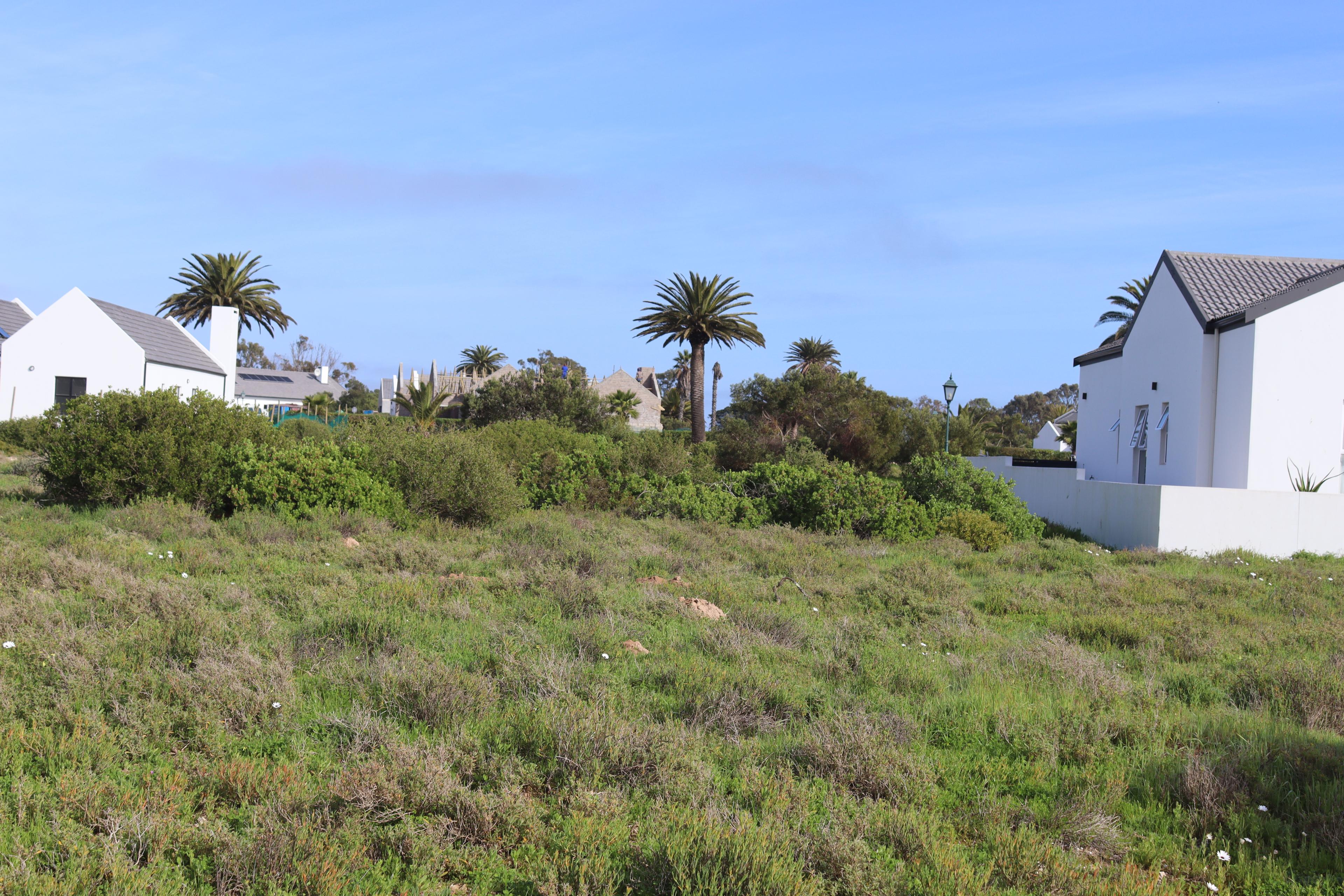 Image 5 of 6