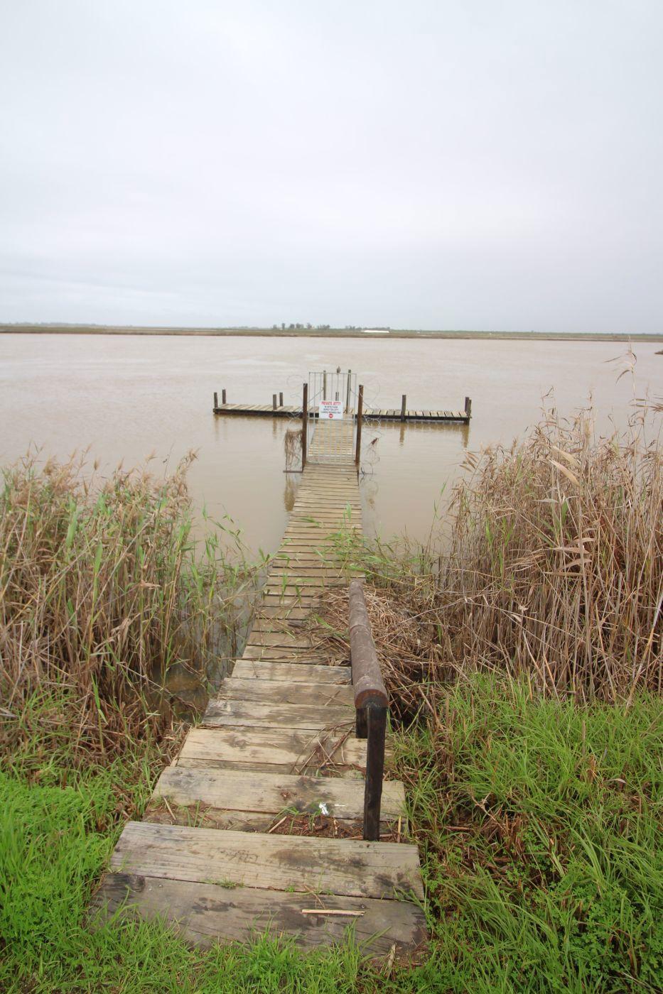 Image 2 of 6