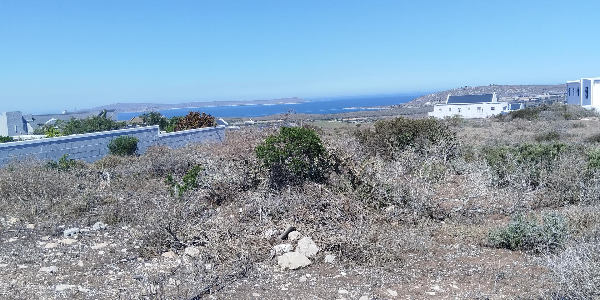 Image 3 of 6