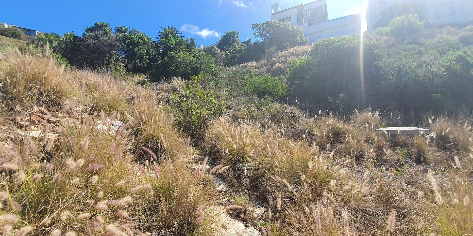 Image 5 of 6