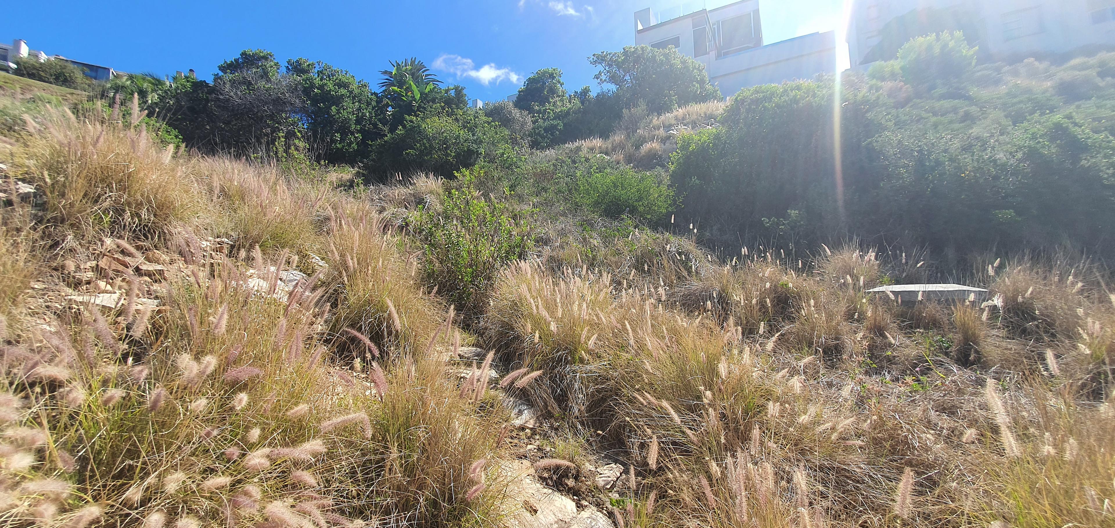 Image 5 of 6