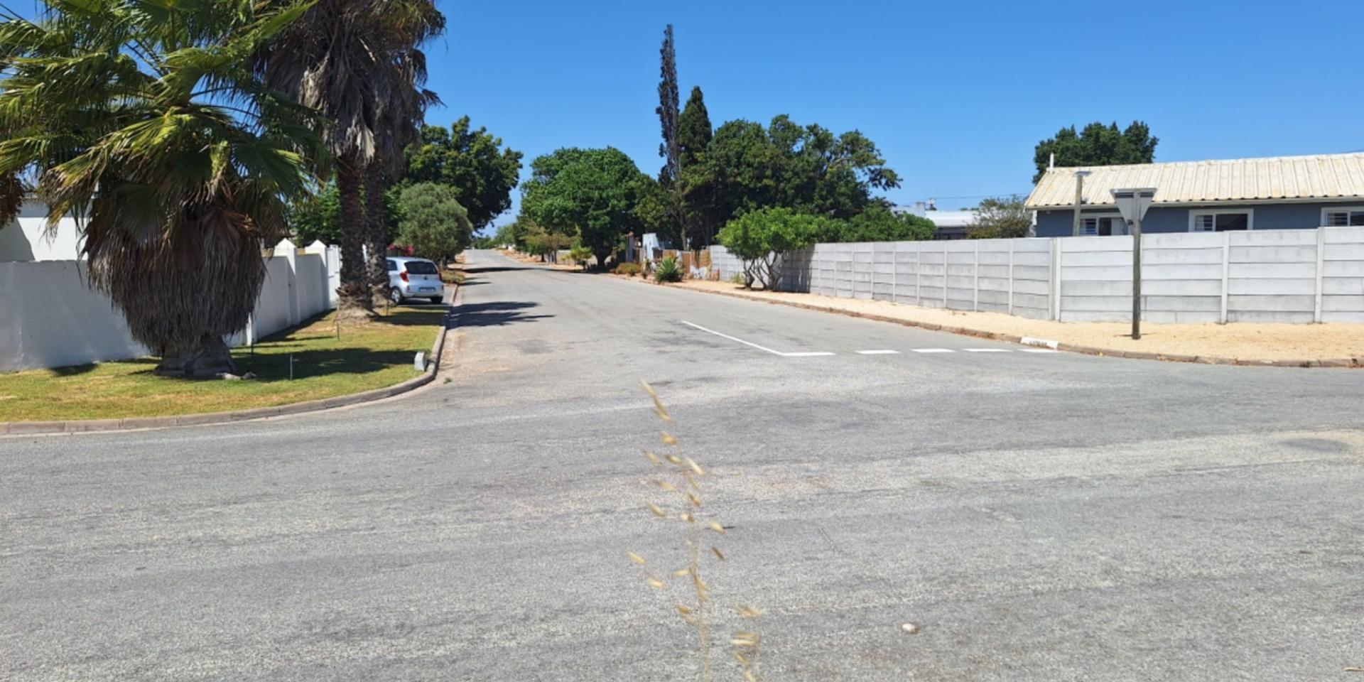 Image 5 of 6