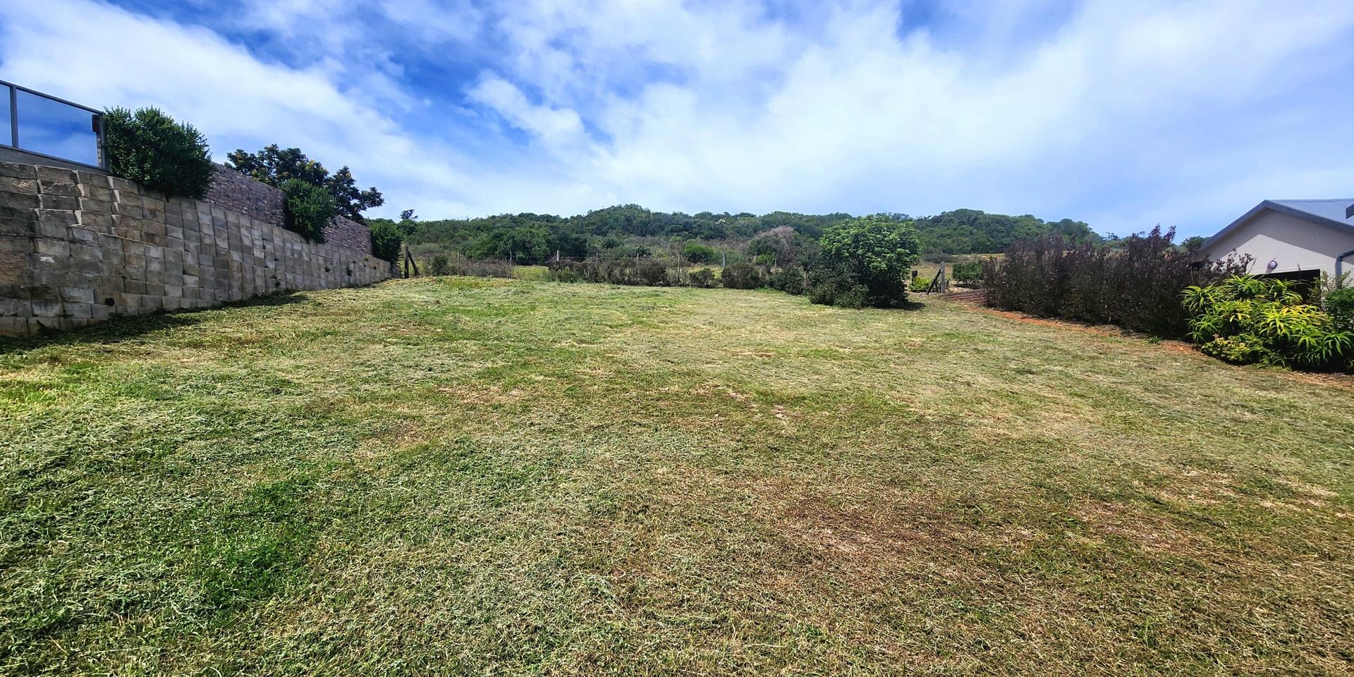 Image 4 of 6