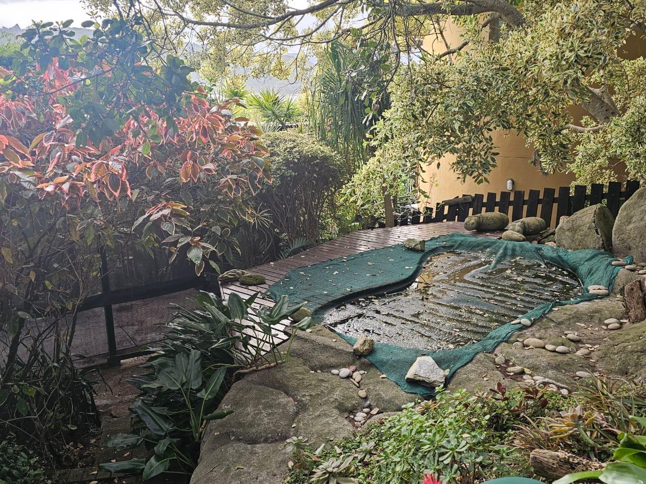 Image 21