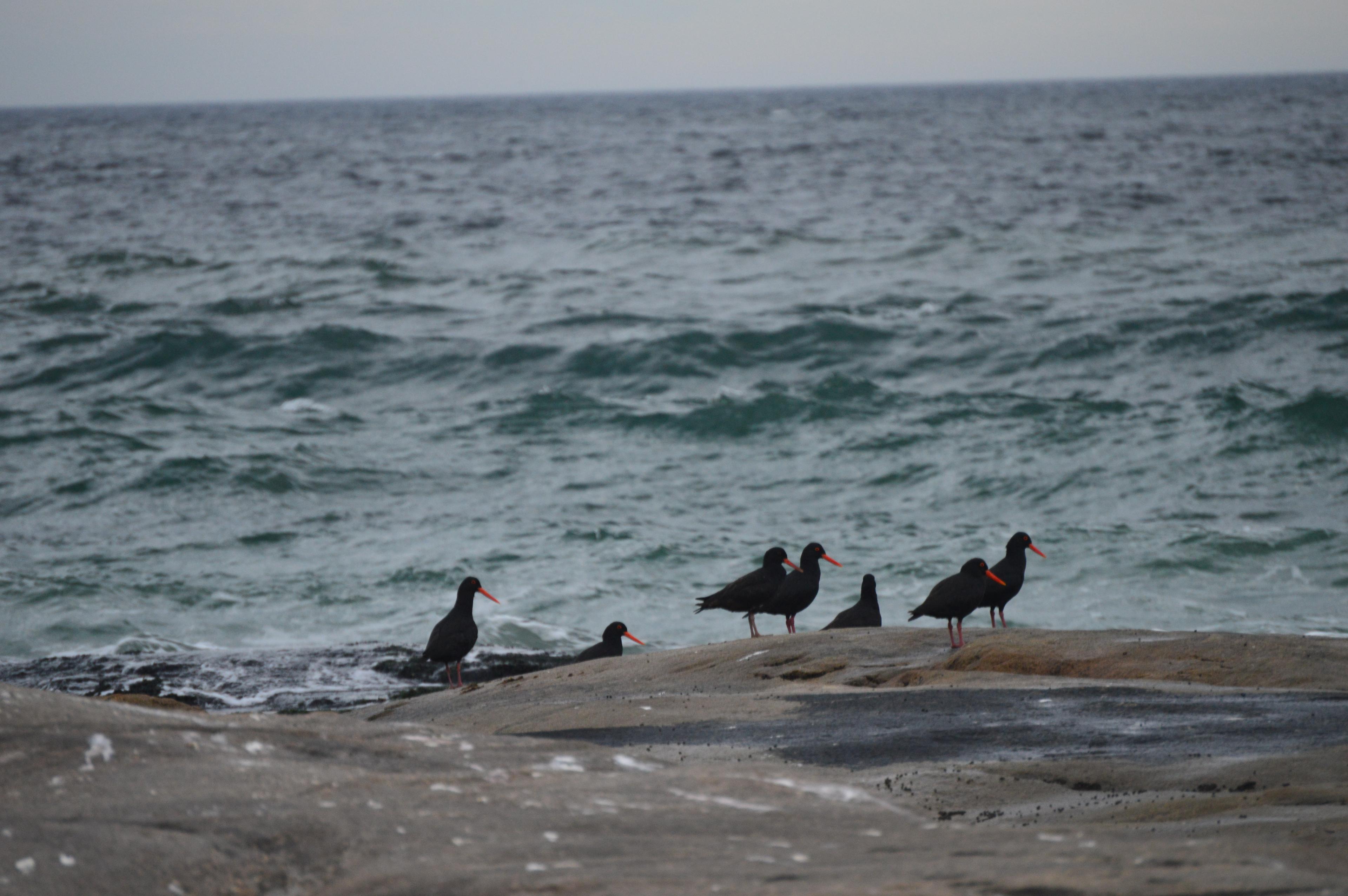 Image 92