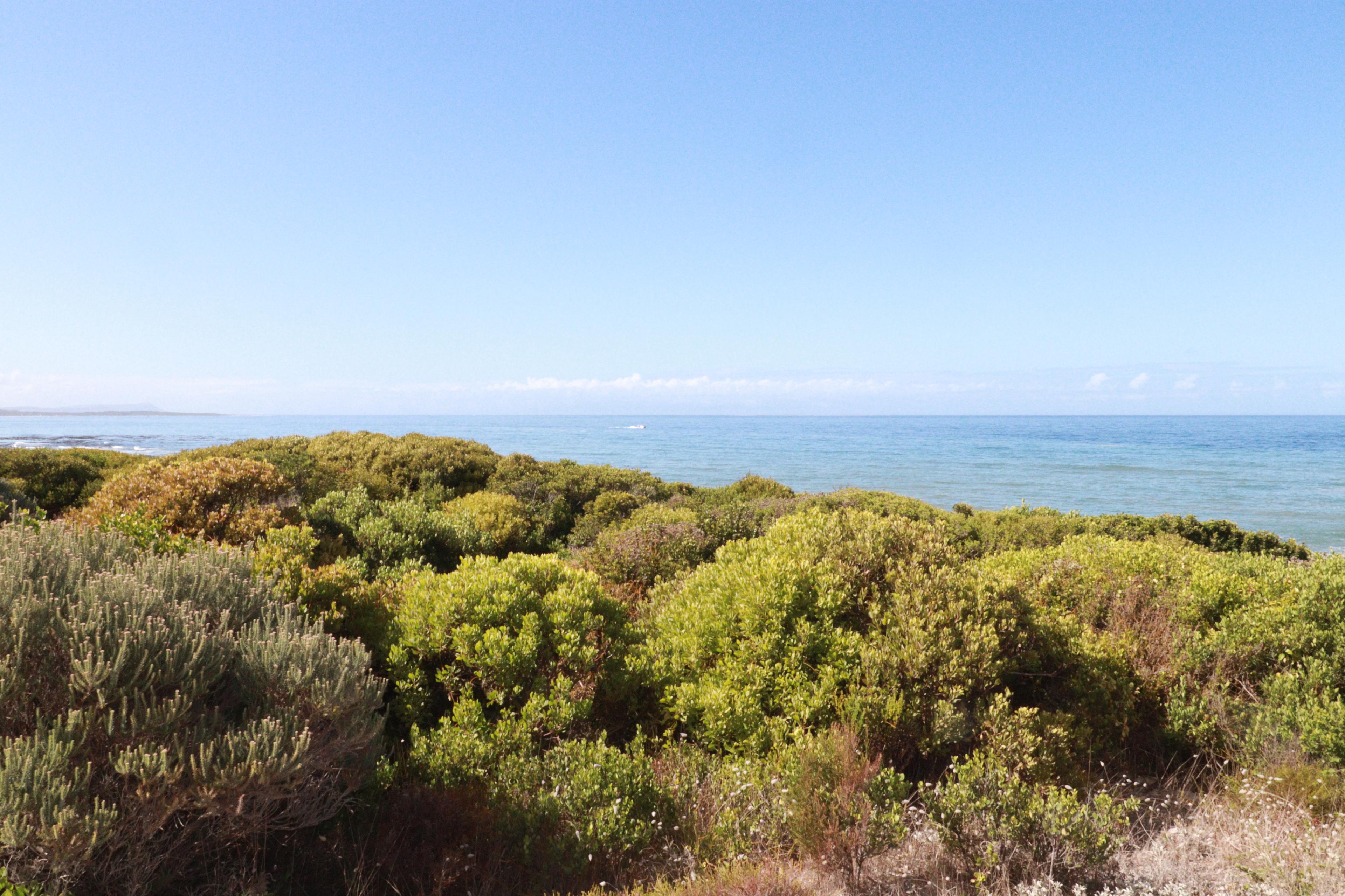 Image 2 of 6