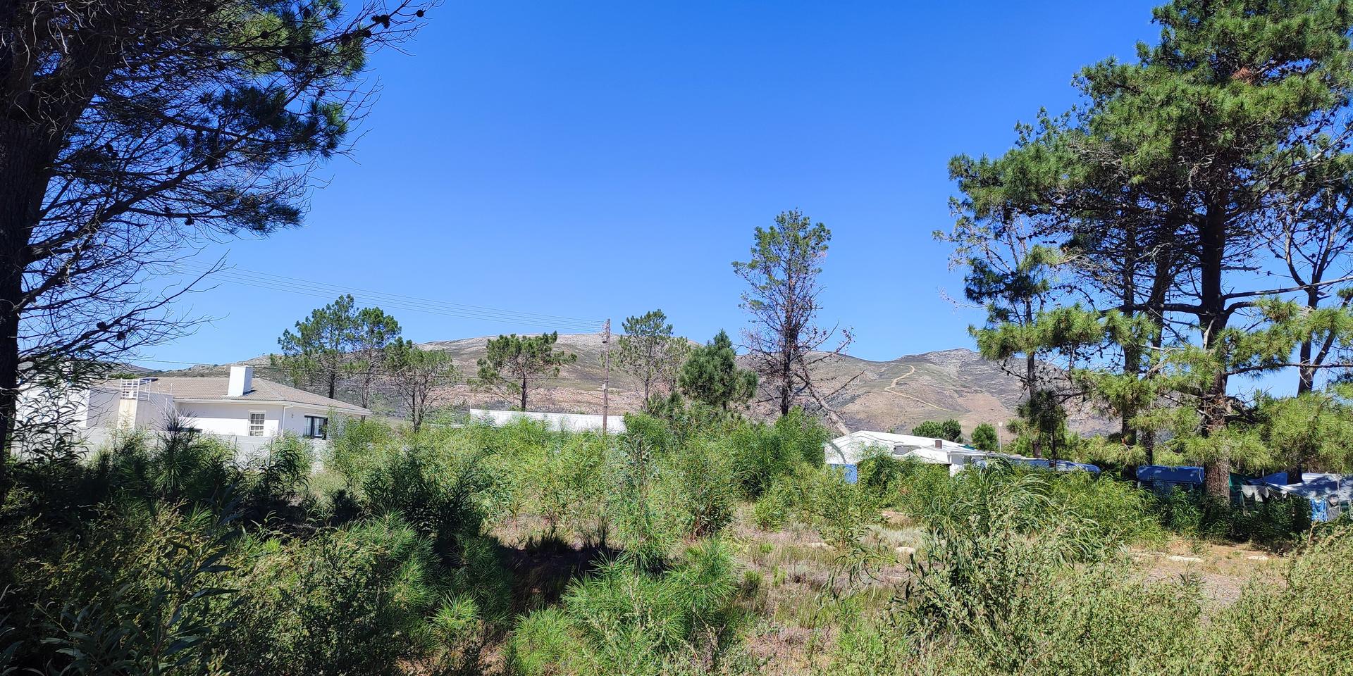 Image 4 of 6