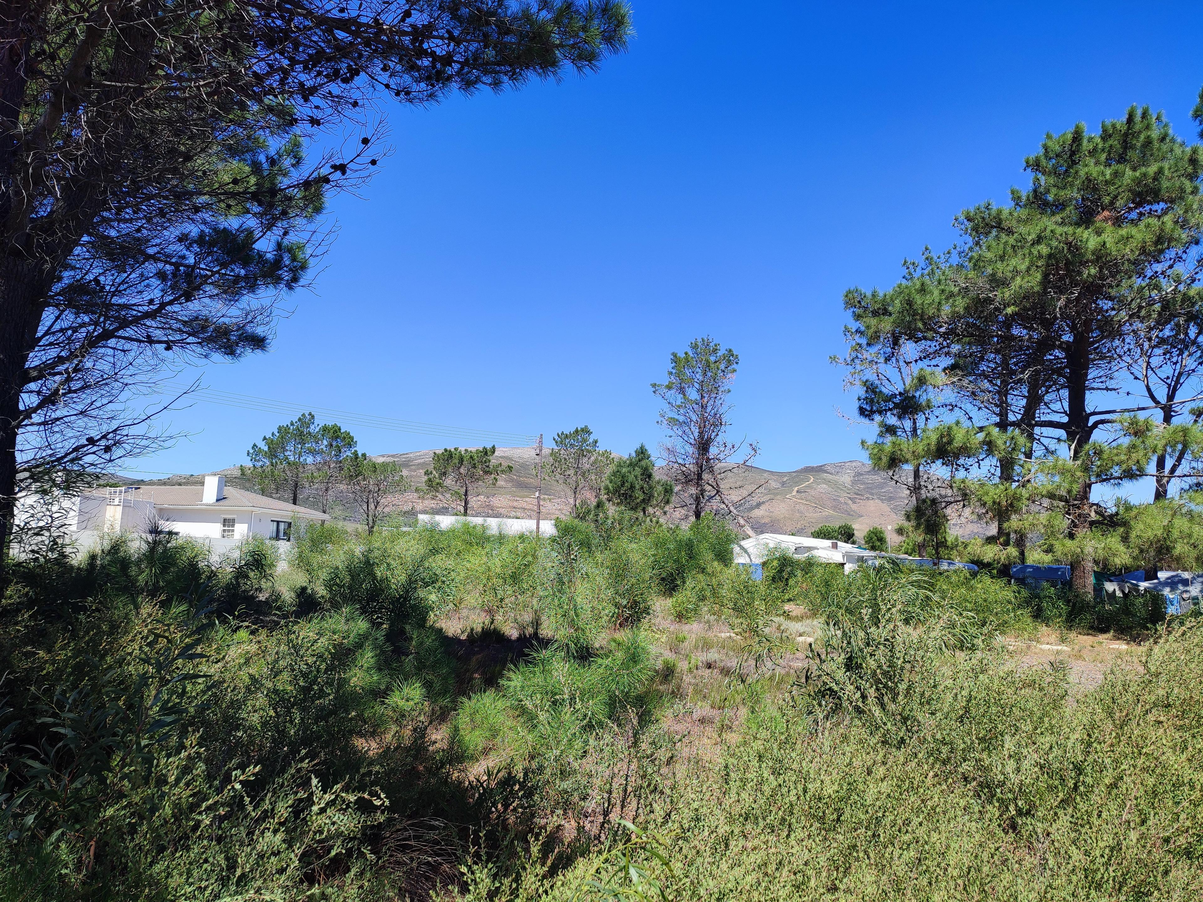 Image 4 of 6