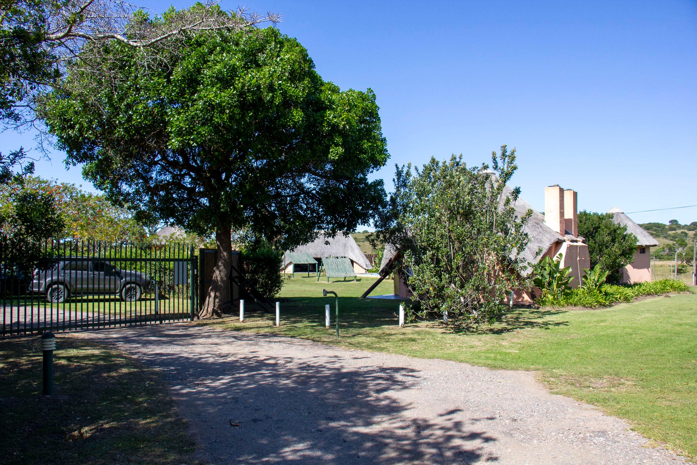 Image 35