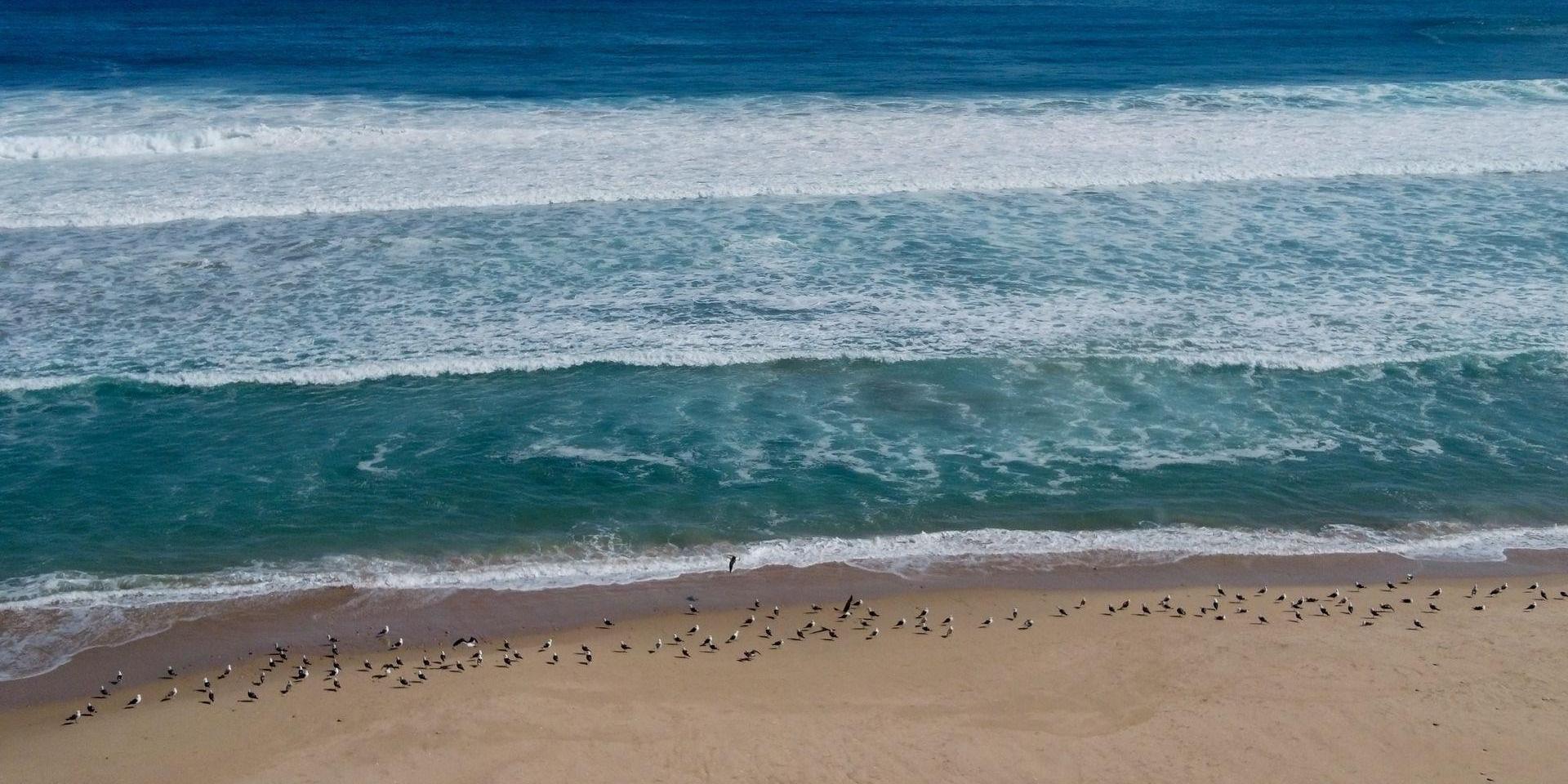 Image 5 of 6