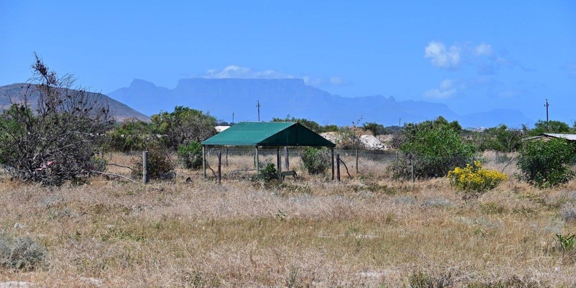 Image 2 of 6