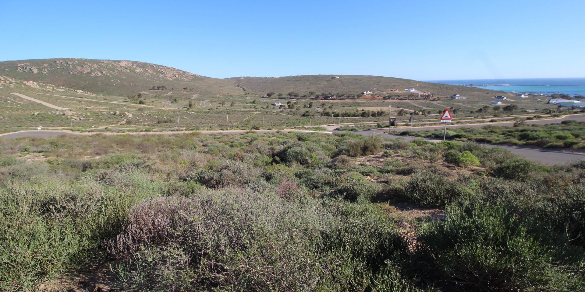 Image 5 of 6