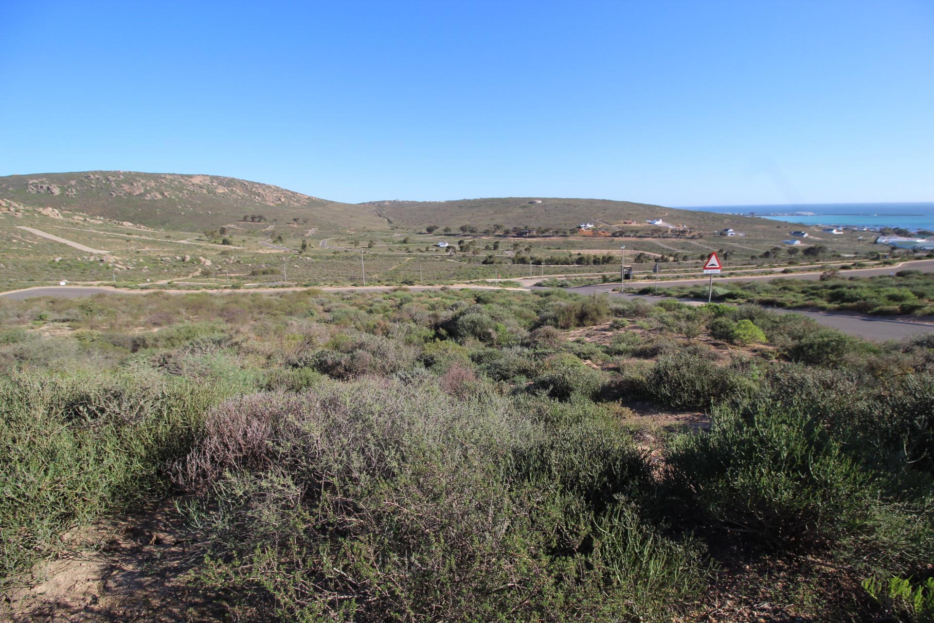Image 5 of 6