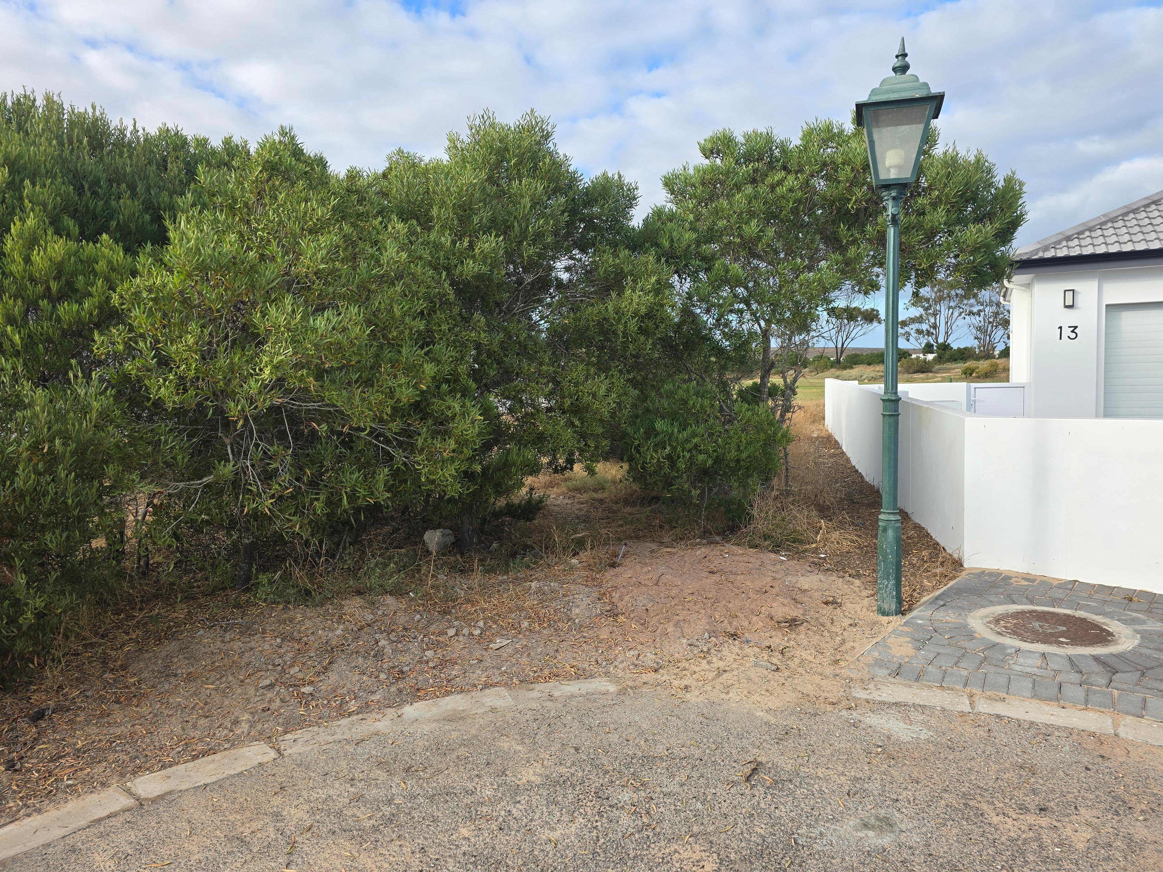 Image 10
