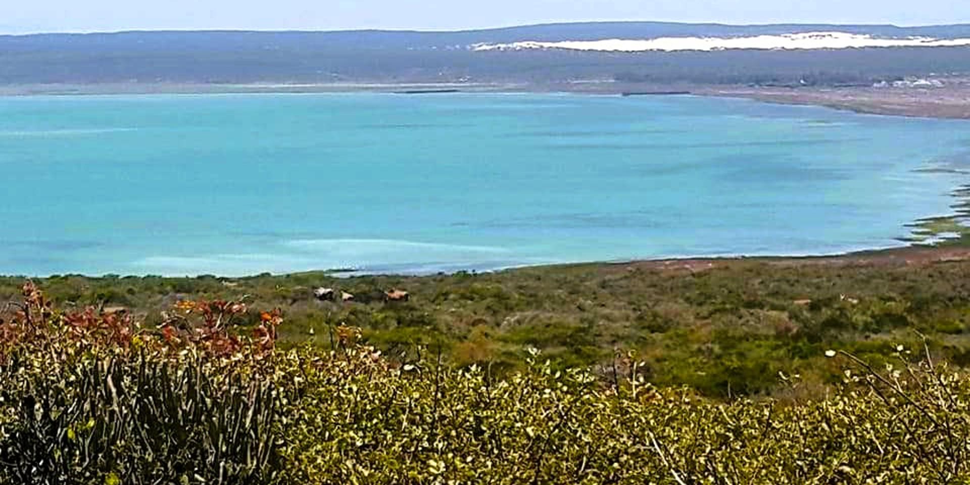 Image 4 of 6