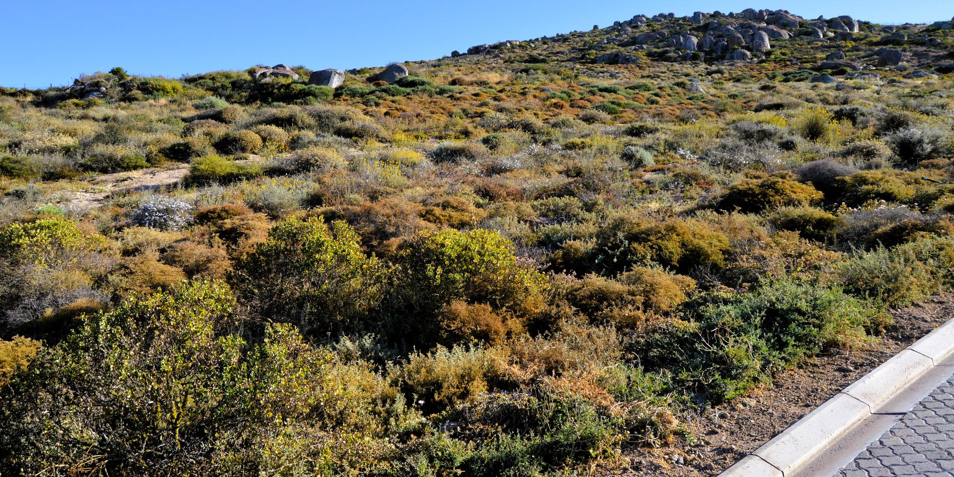Image 4 of 6