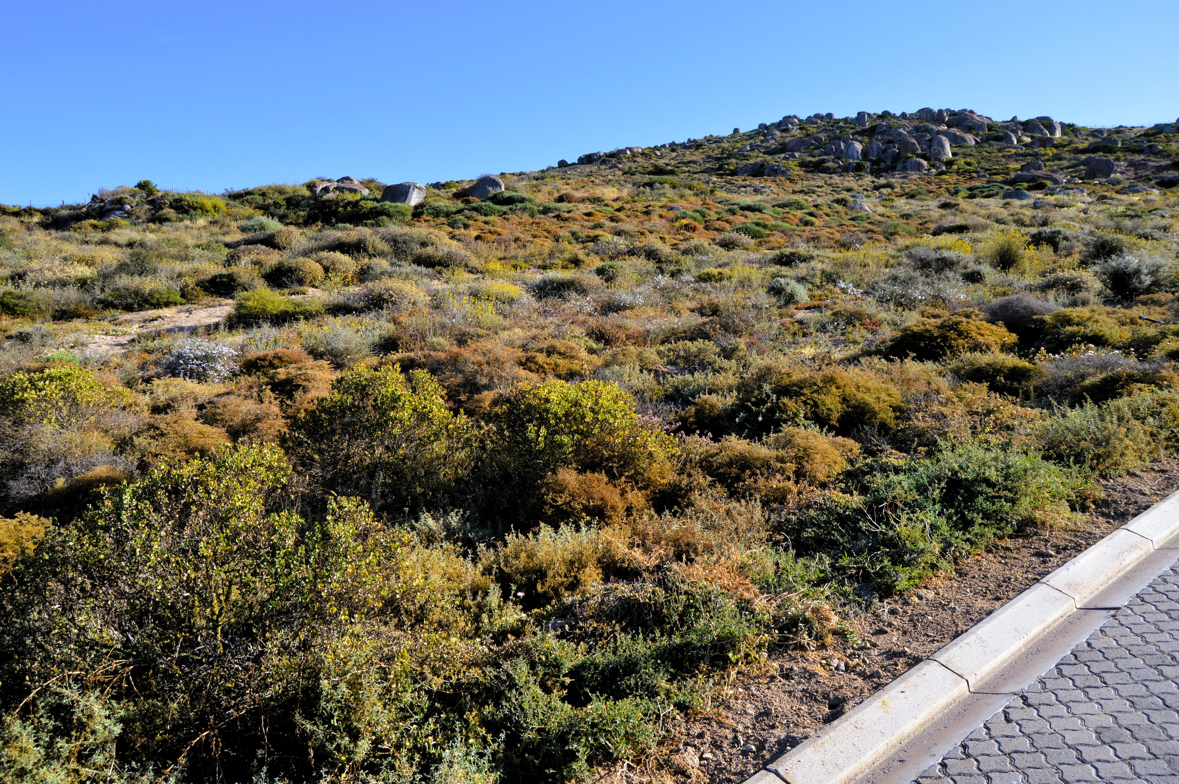 Image 4 of 6
