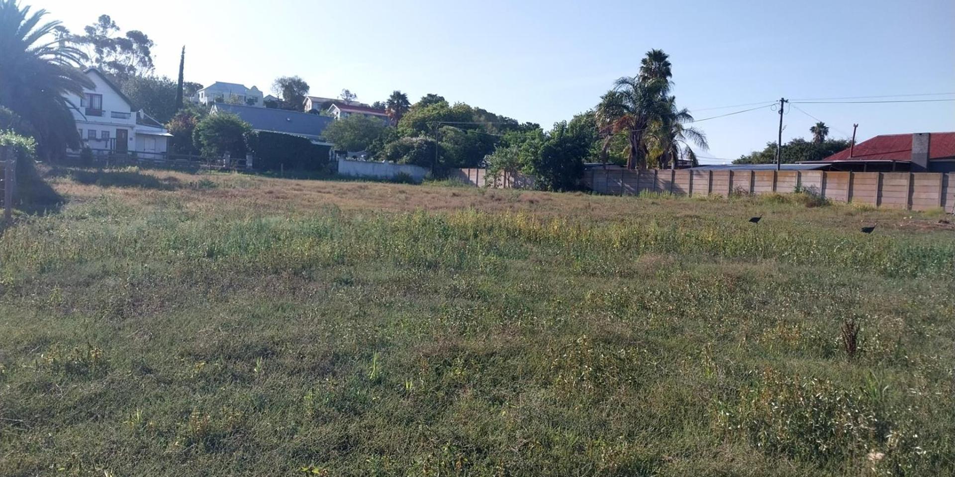 Image 4 of 6