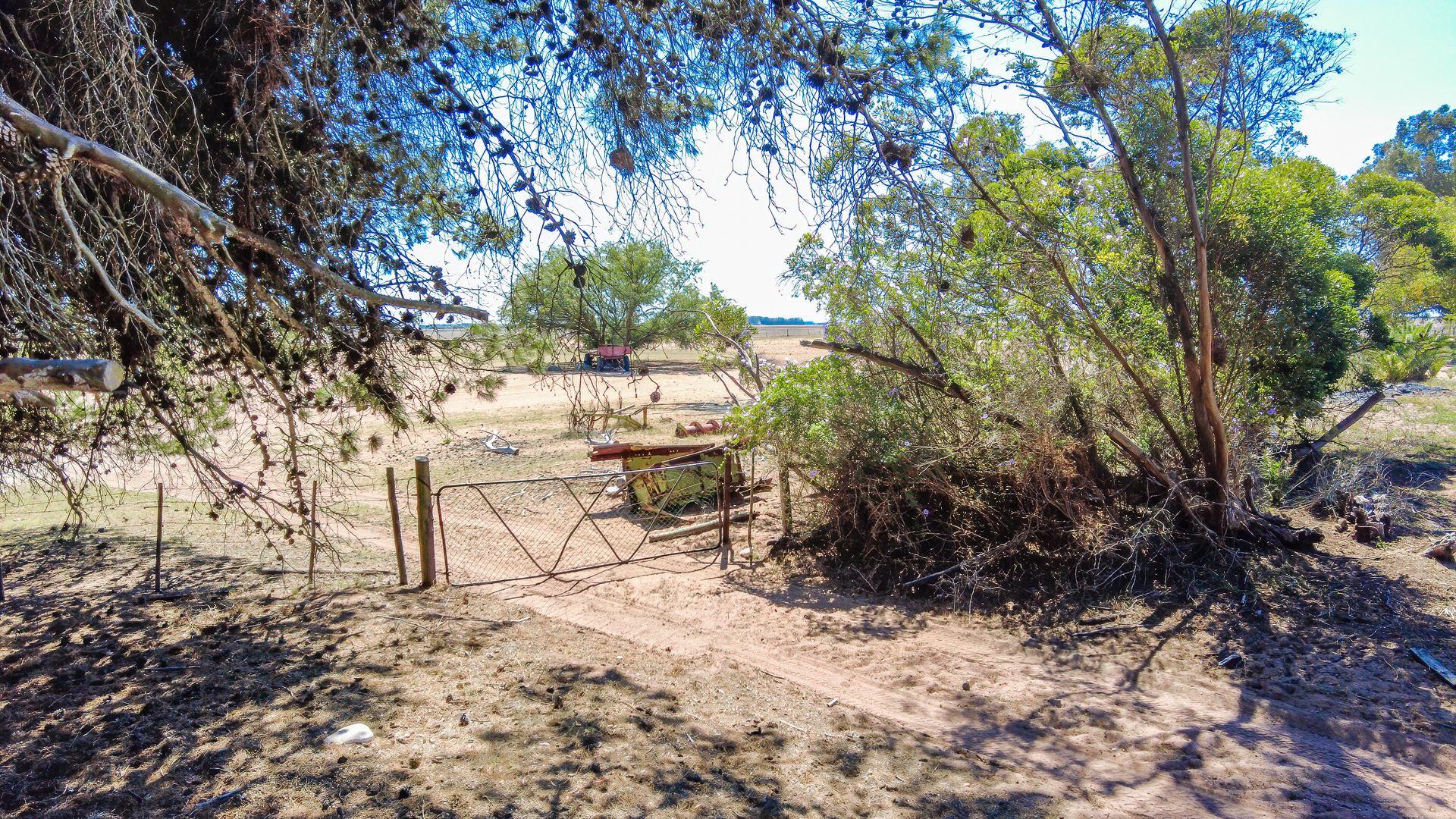 Image 19