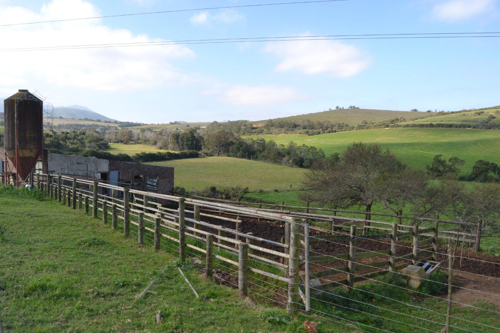 Image 19