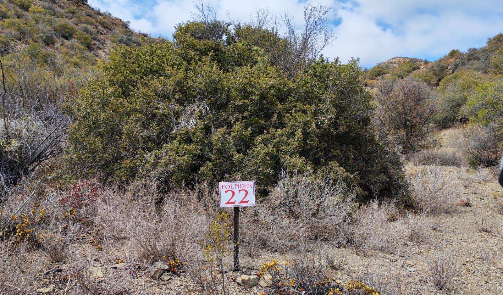 Image 18