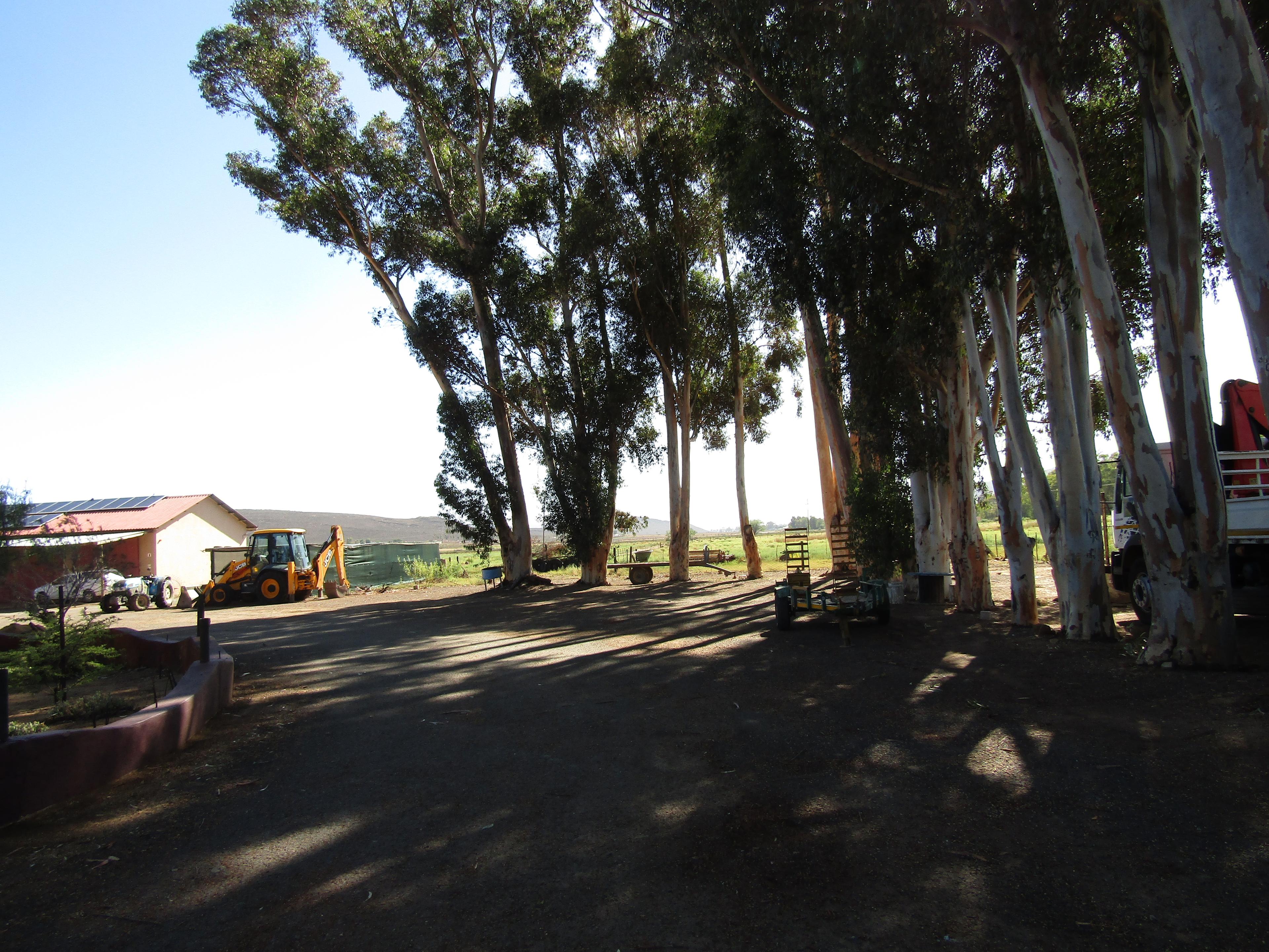 Image 5 of 6