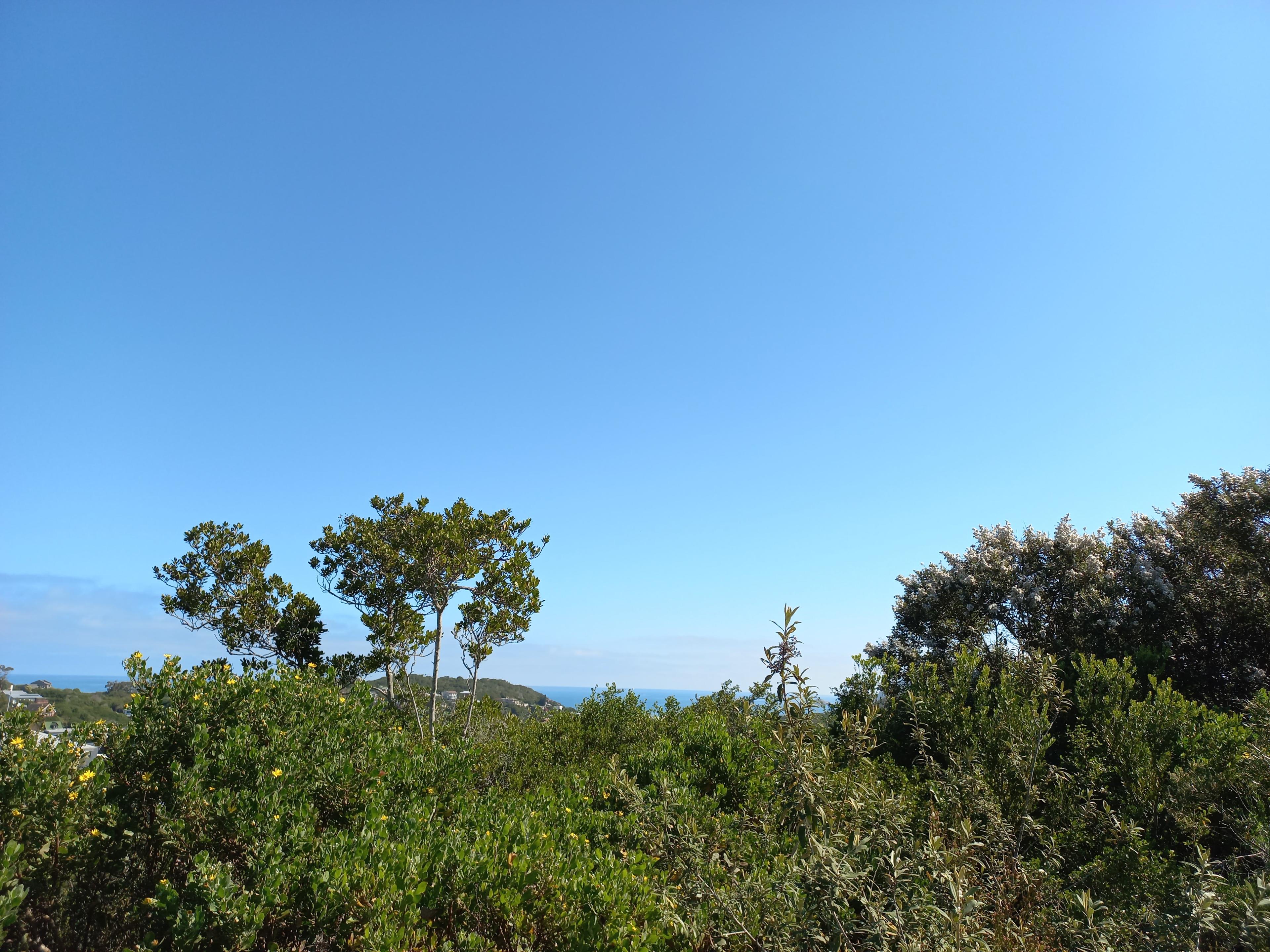 Image 14