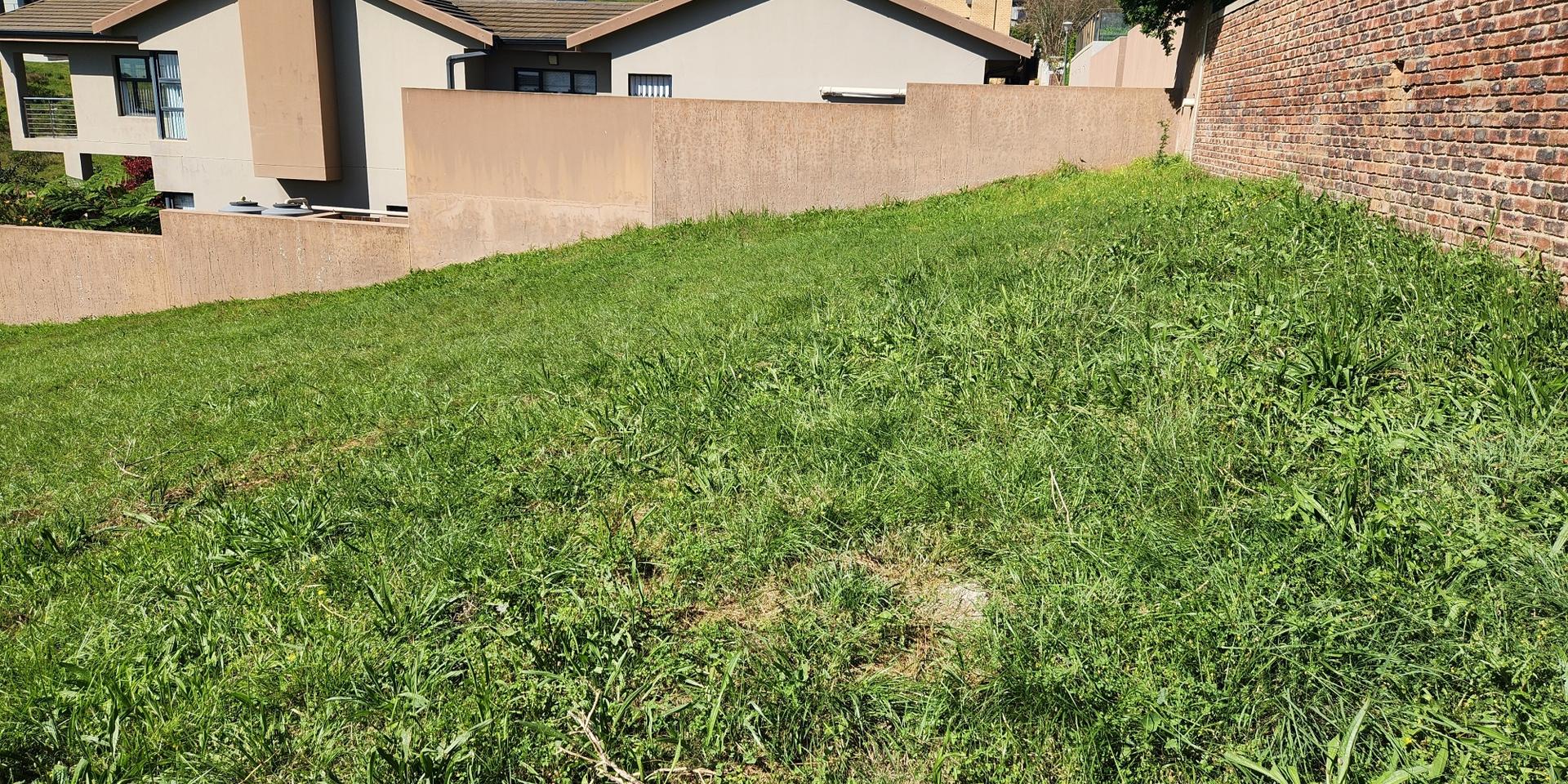 Image 4 of 6
