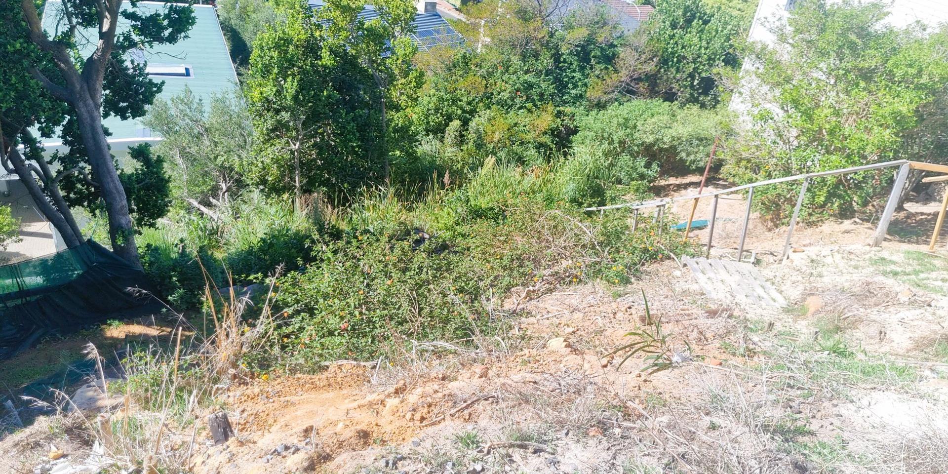Image 2 of 6
