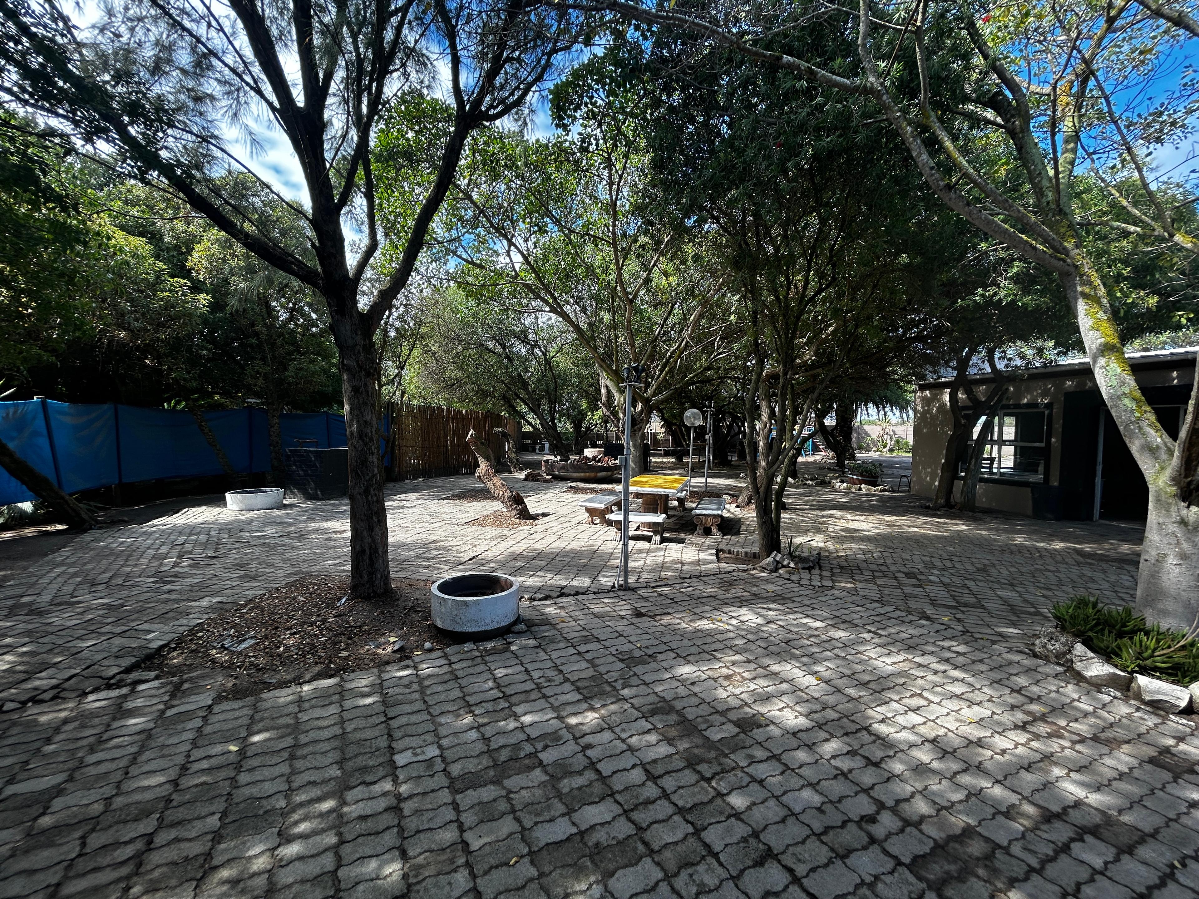 Image 12