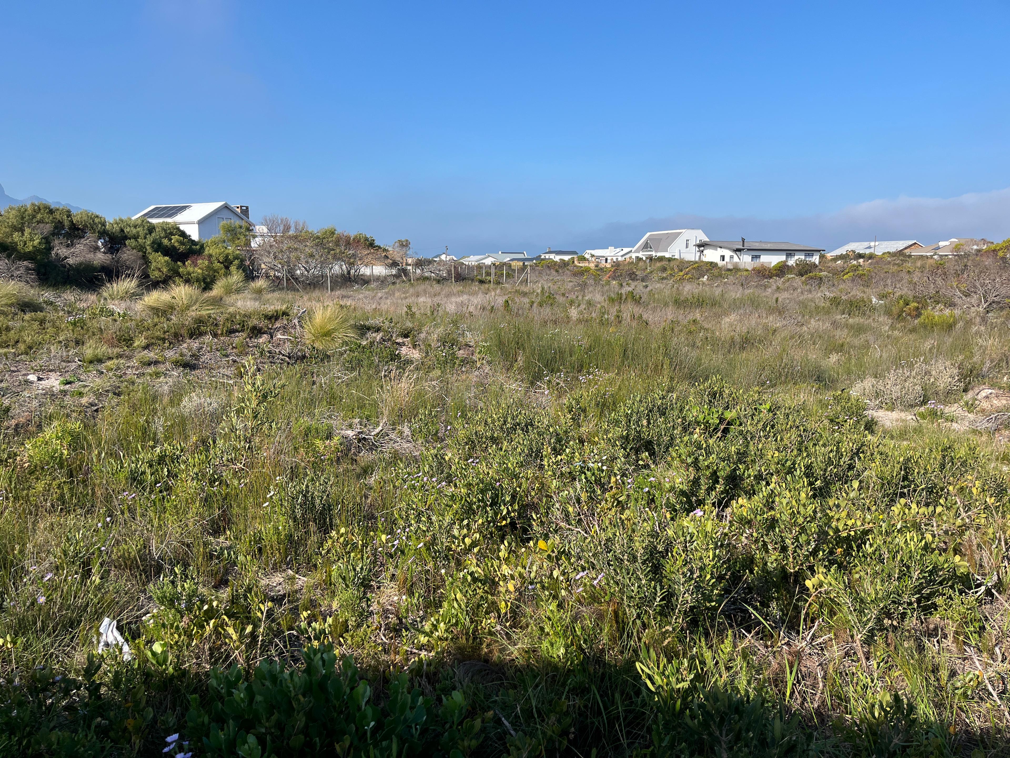 Image 2 of 6