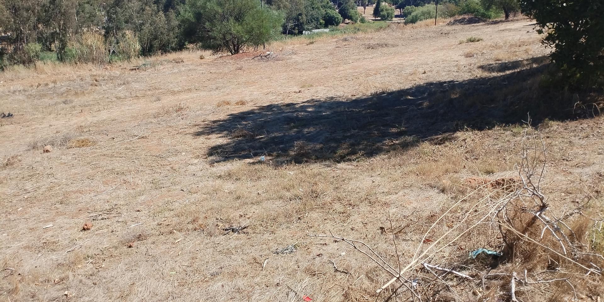 Image 5 of 6