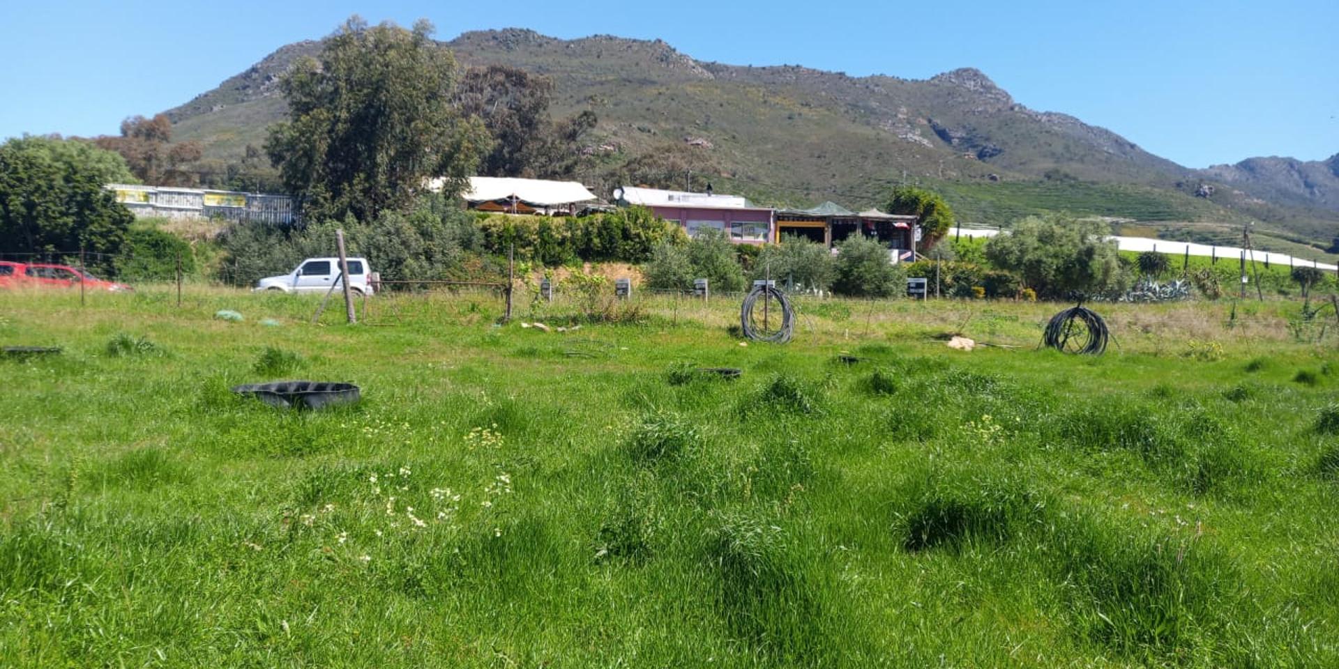 Image 5 of 6