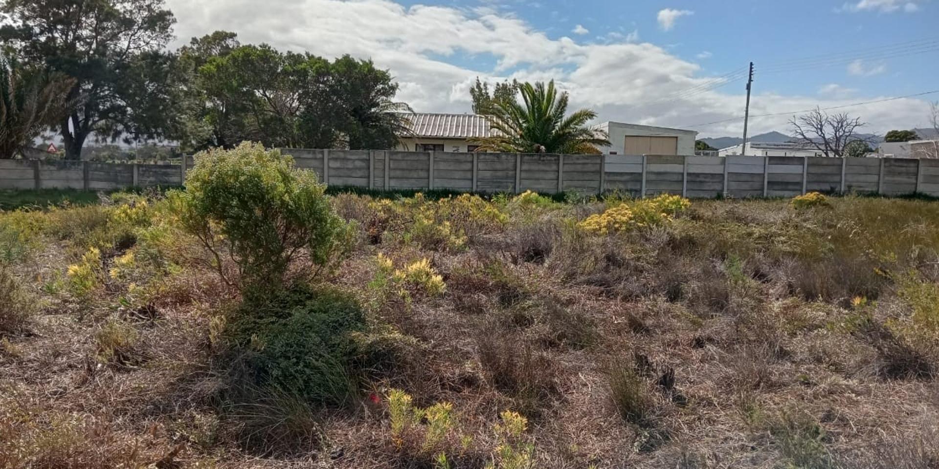 Image 4 of 6