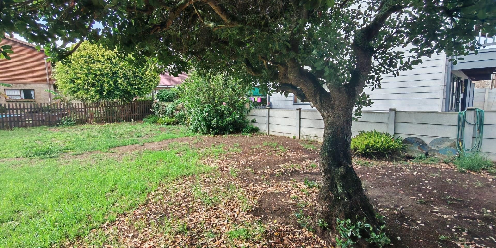Image 4 of 6