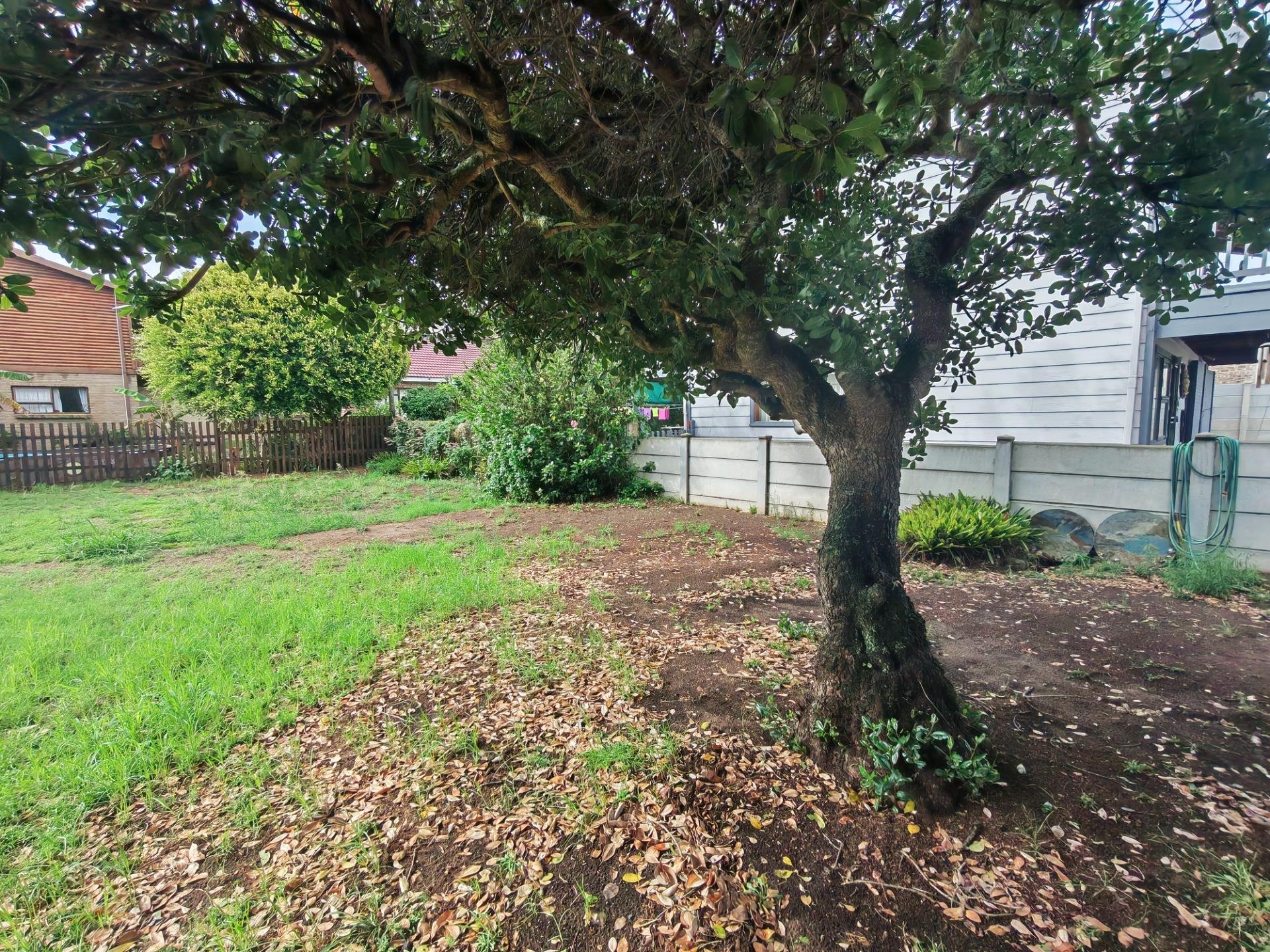 Image 4 of 6
