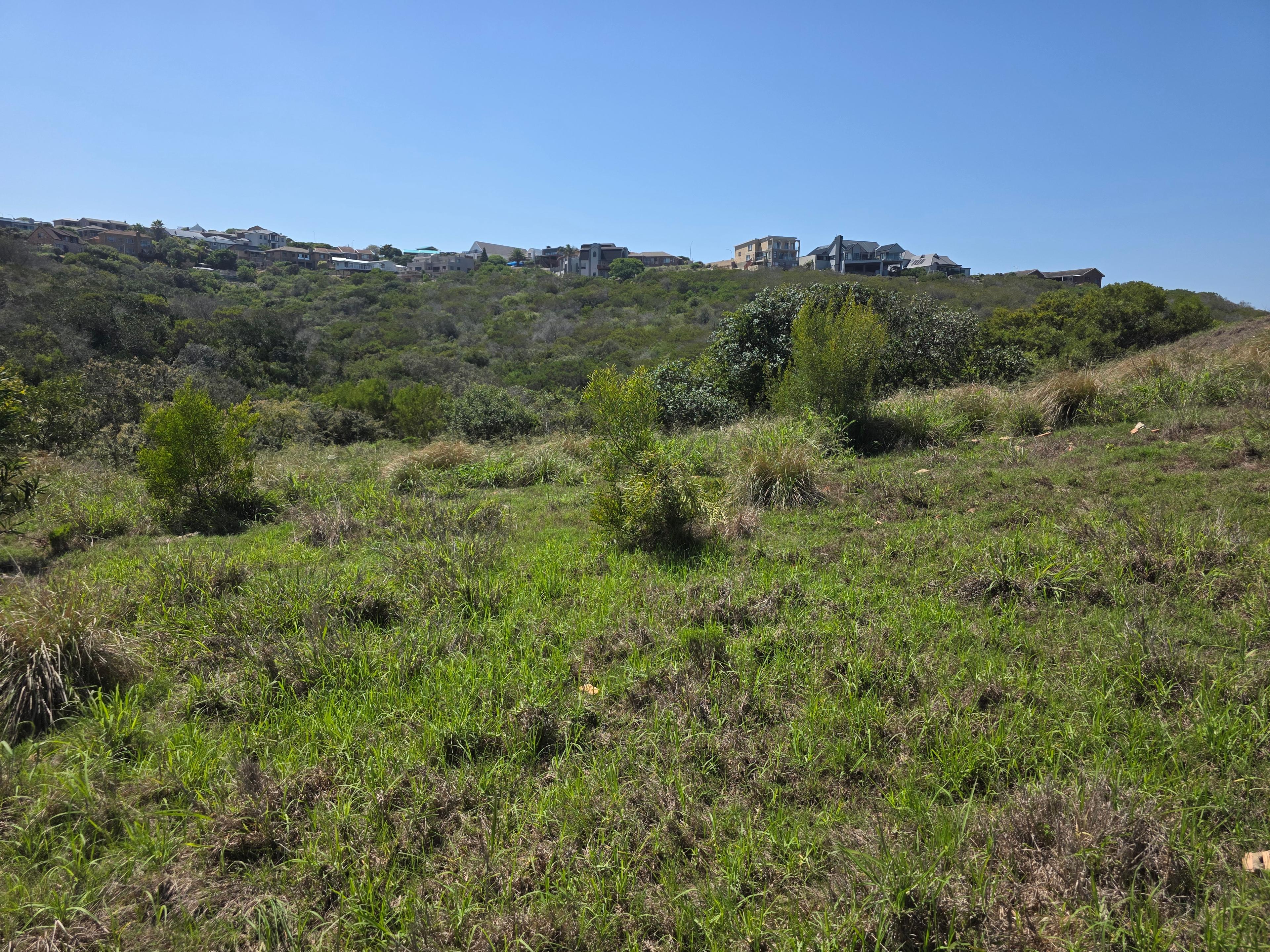 Image 15