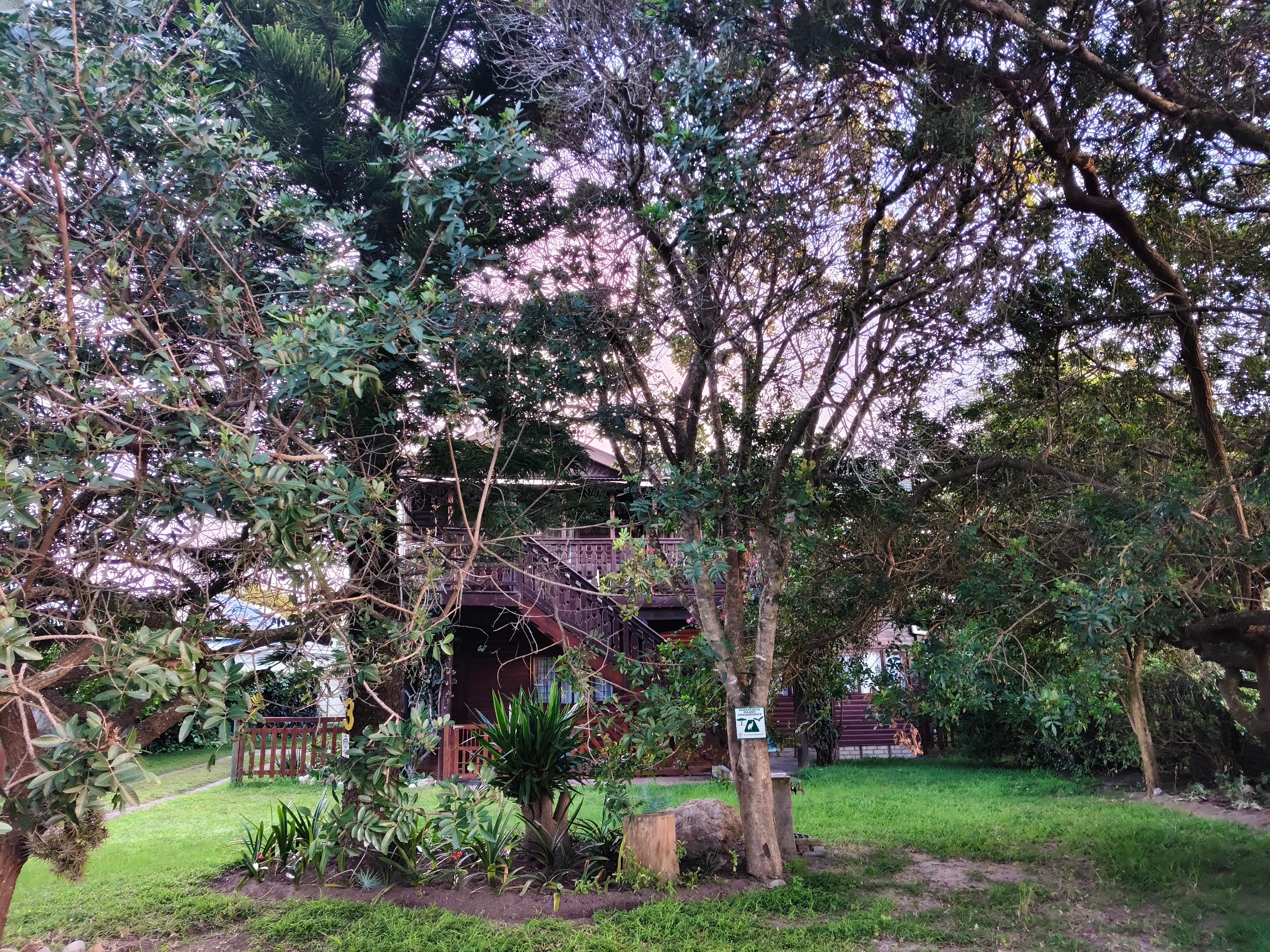 Image 4 of 6
