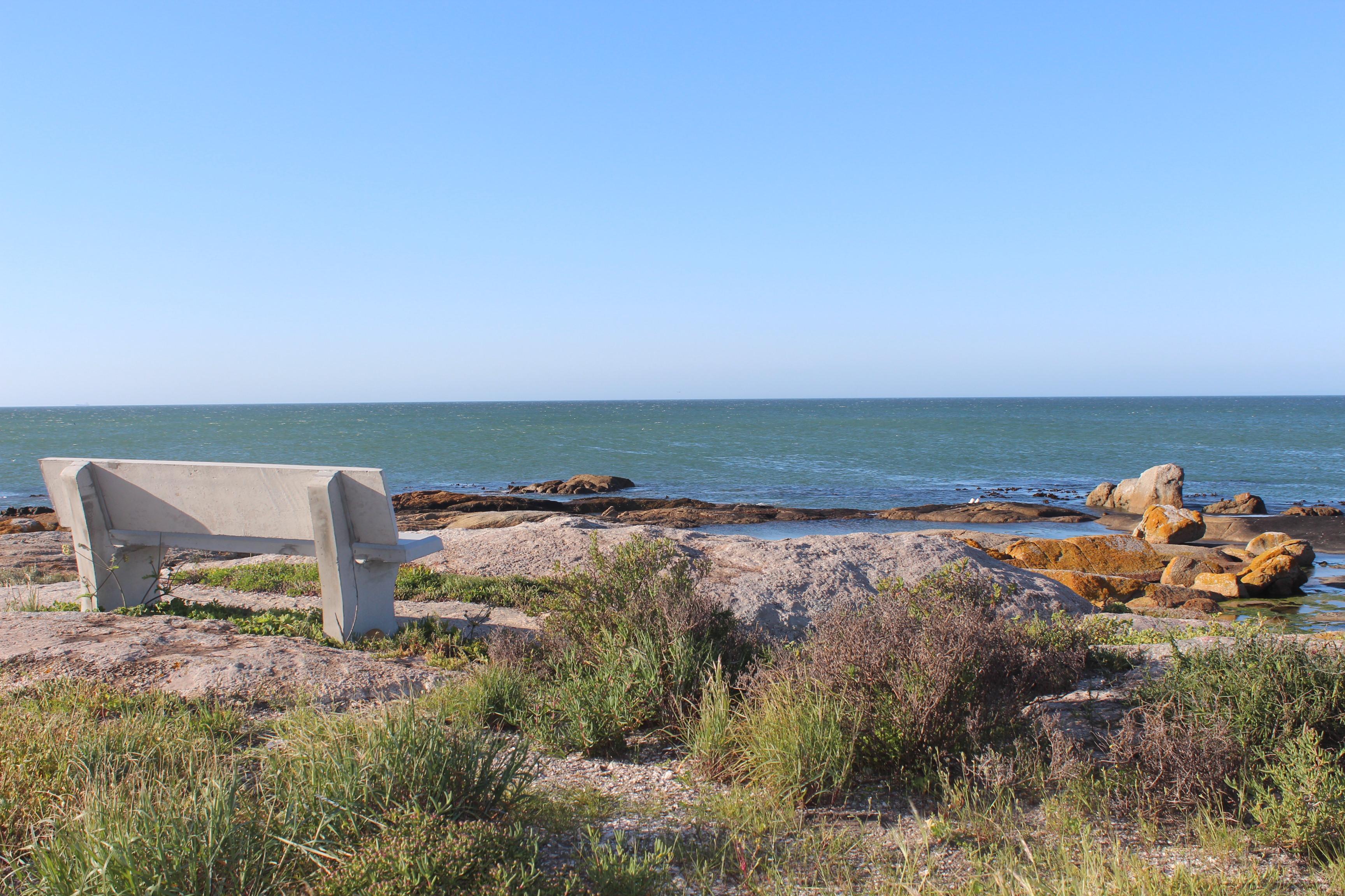 Image 36