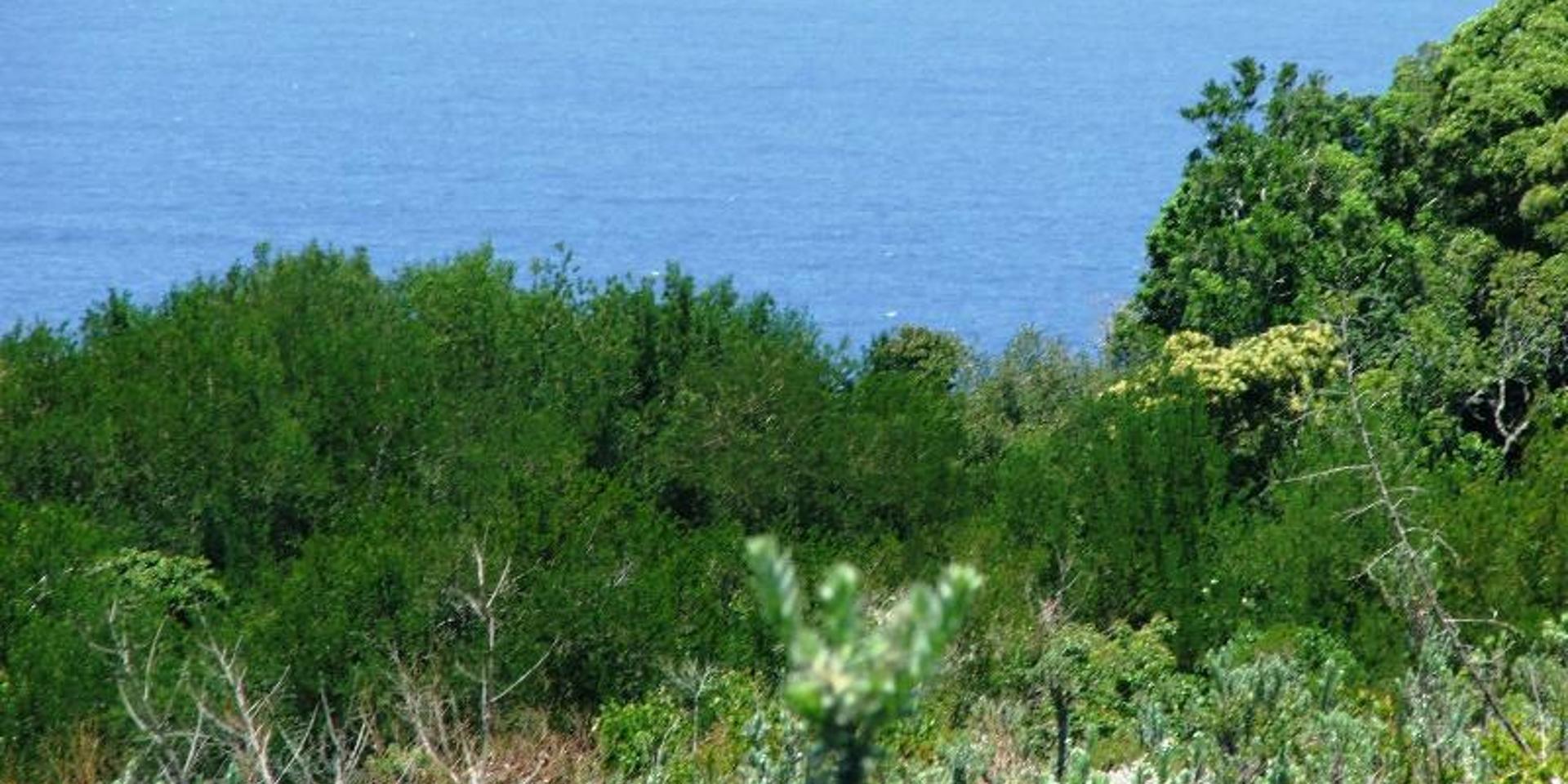 Image 4 of 6