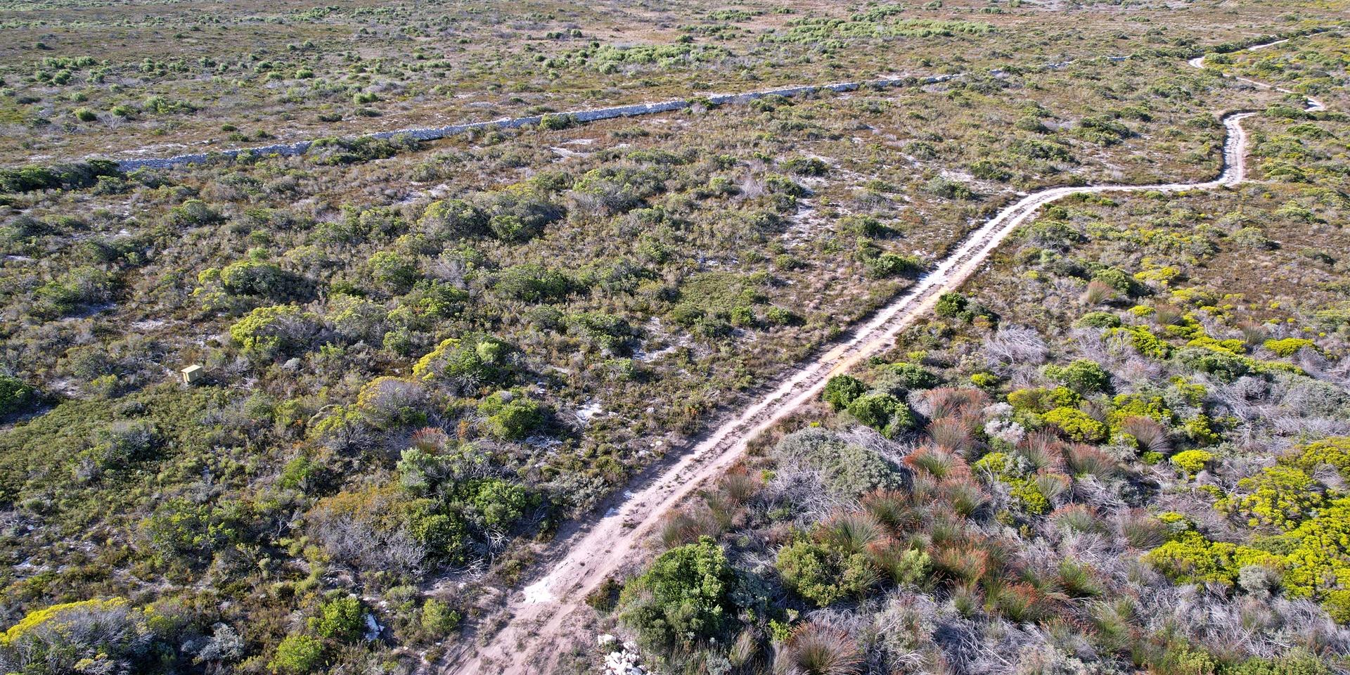 Image 3 of 6