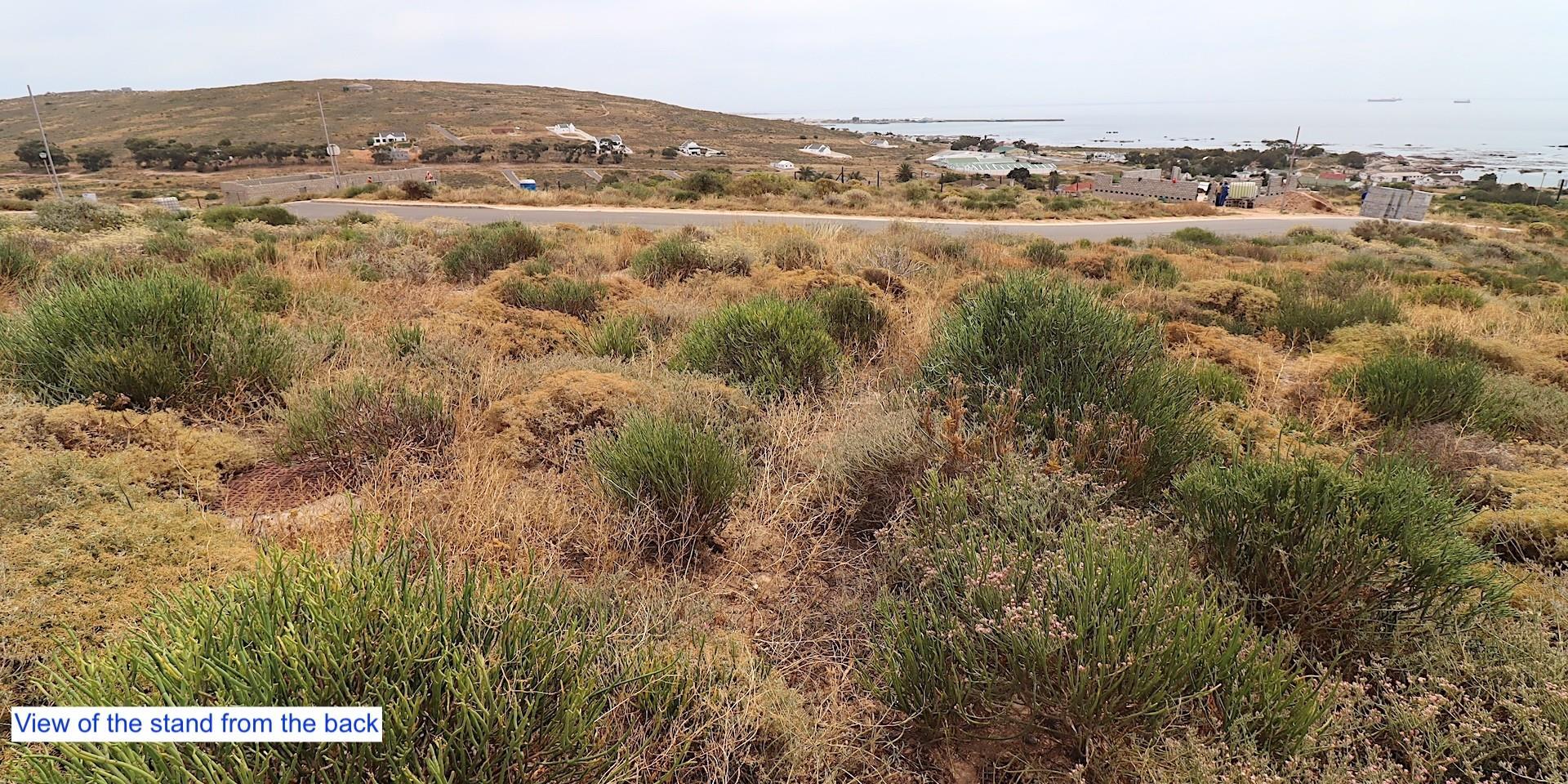 Image 5 of 6