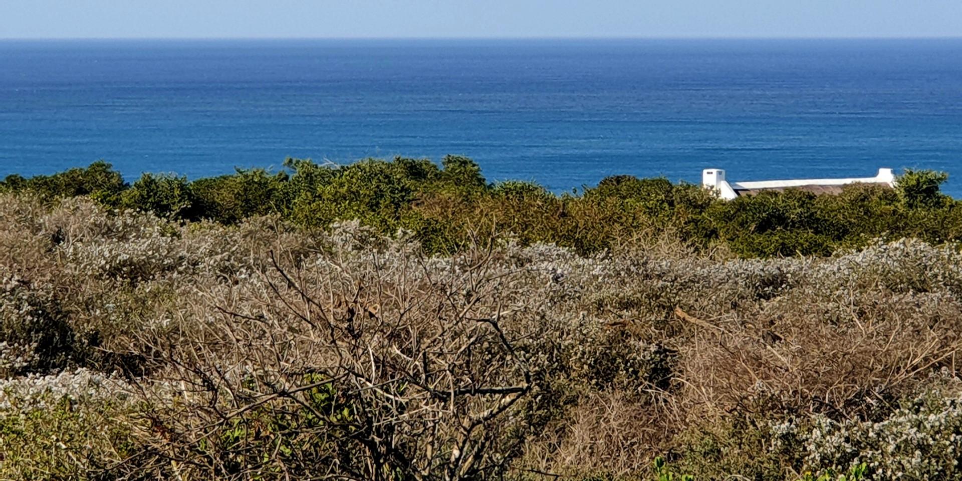 Image 4 of 6