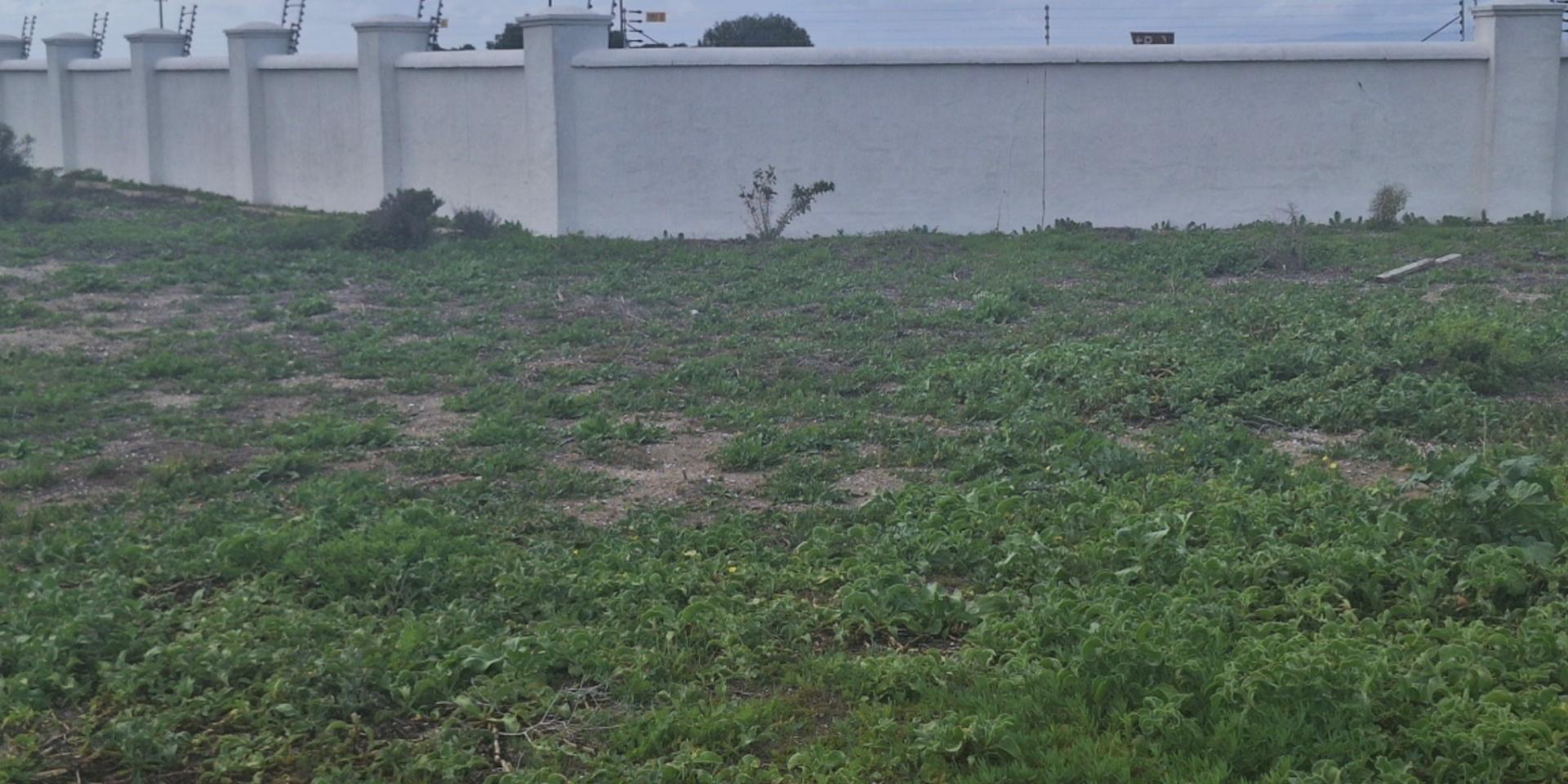 Image 4 of 6