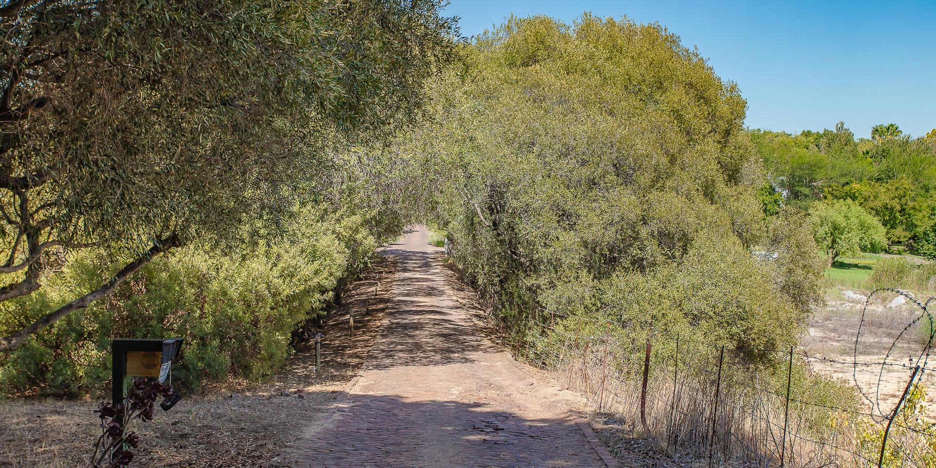 Image 4 of 6